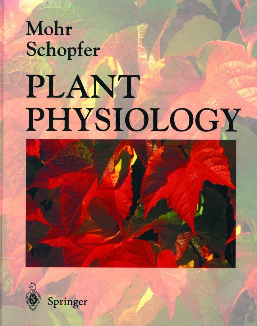 Plant Physiology - Mohr, Hans|Schopfer, Peter