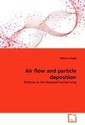 Air flow and particle deposition - Rebecca Segal