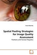 Spatial Pooling Strategies for Image Quality Assessment - Anush Moorthy