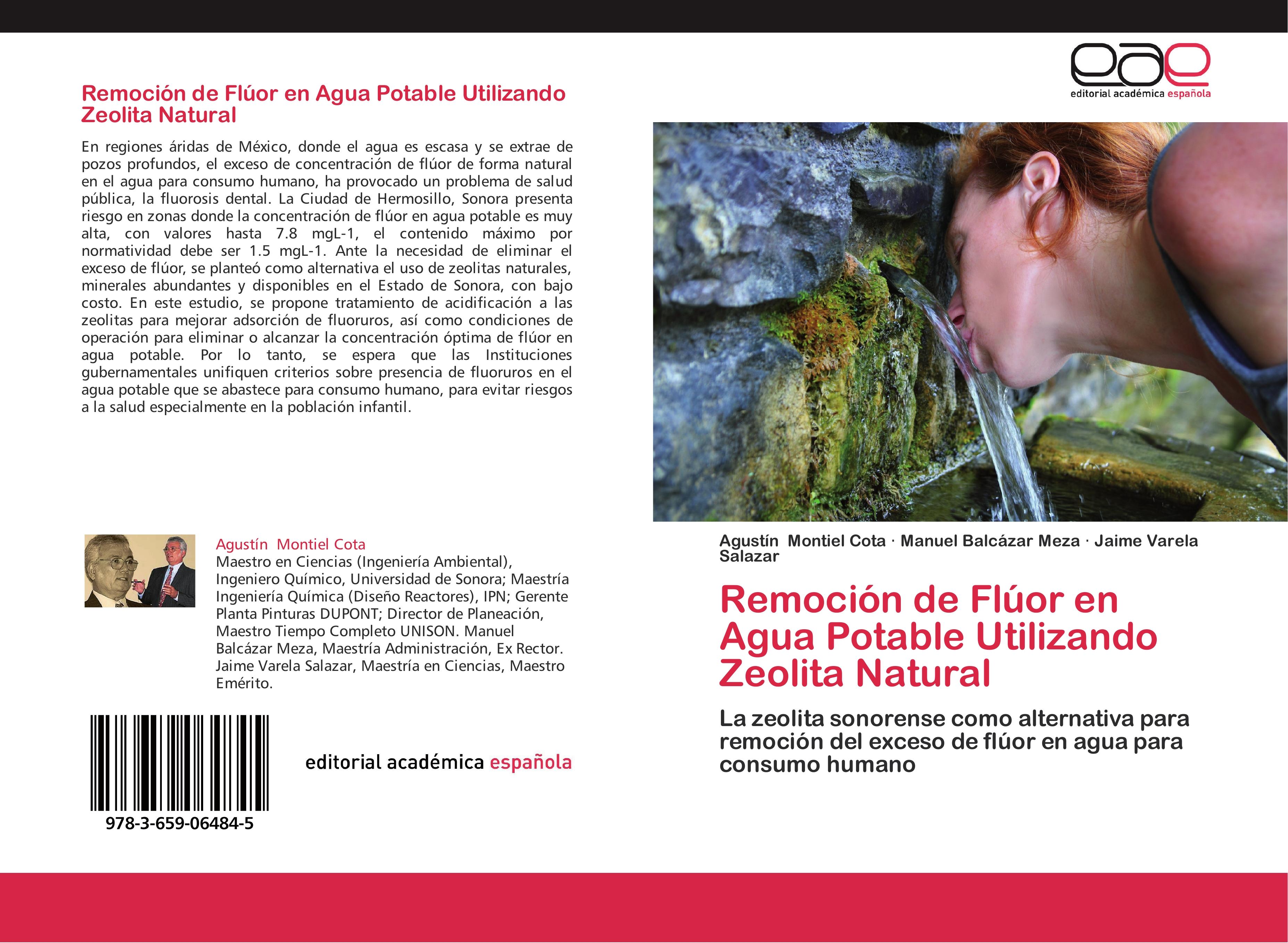 Remoción de Flúor en Agua Potable Utilizando Zeolita Natural de Agustín  Montiel Cota, Manuel Balcázar Meza, Jaime Varela Salazar: New (2012)