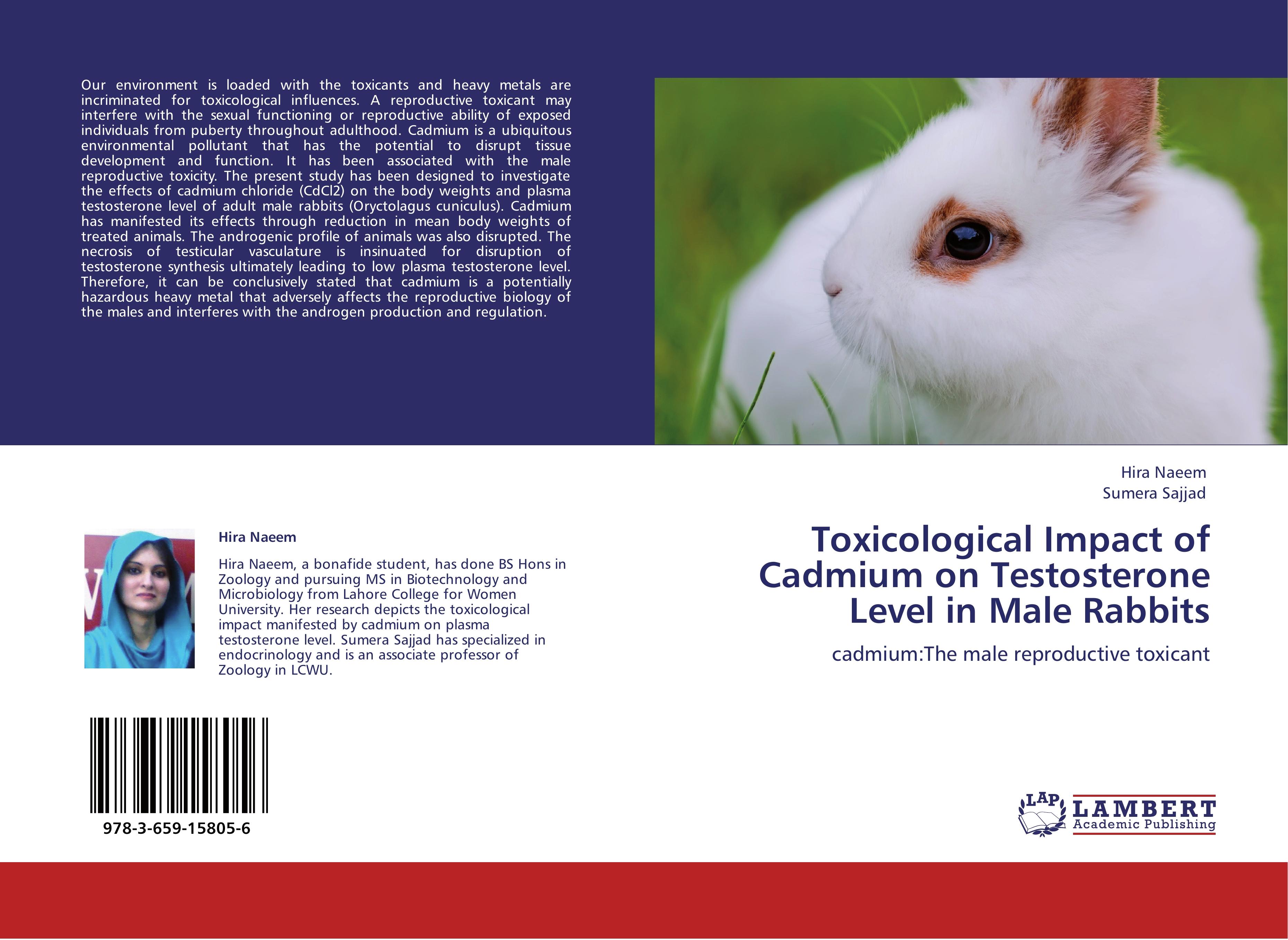 Toxicological Impact of Cadmium on Testosterone Level in Male Rabbits - Hira Naeem|SUMERA SAJJAD