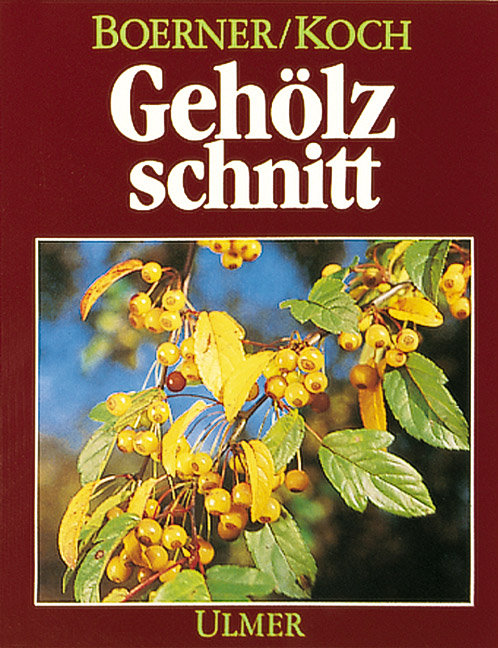 Gehoelzschnitt - Franz Boerner|Harro Koch