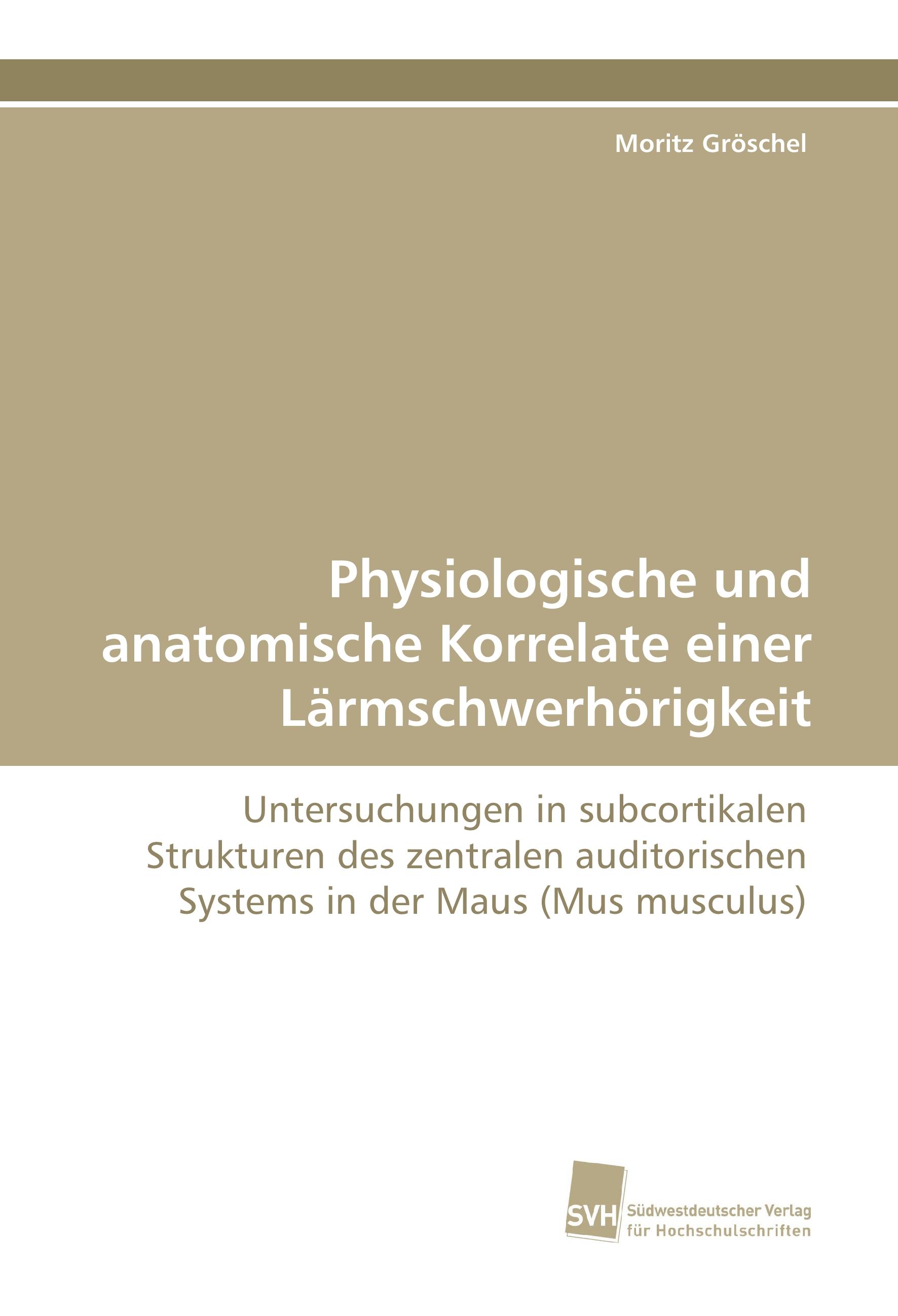 Physiologische und anatomische Korrelate einer Laermschwerhoerigkeit - Moritz Gröschel