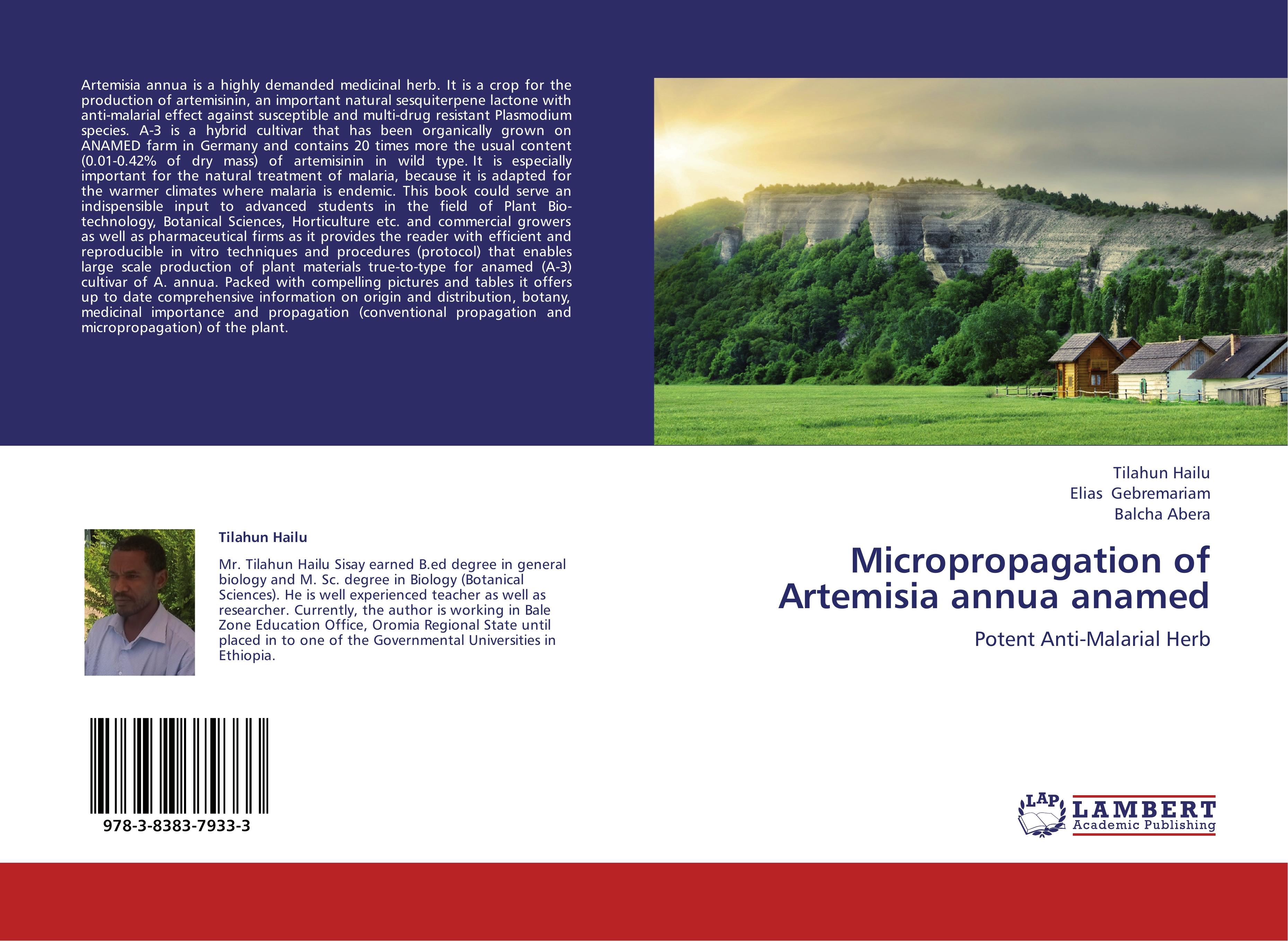 Micropropagation of Artemisia annua anamed - Tilahun Hailu|Elias Gebremariam|Balcha Abera