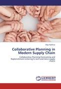 Collaborative Planning in Modern Supply Chain - Olga Nydlova