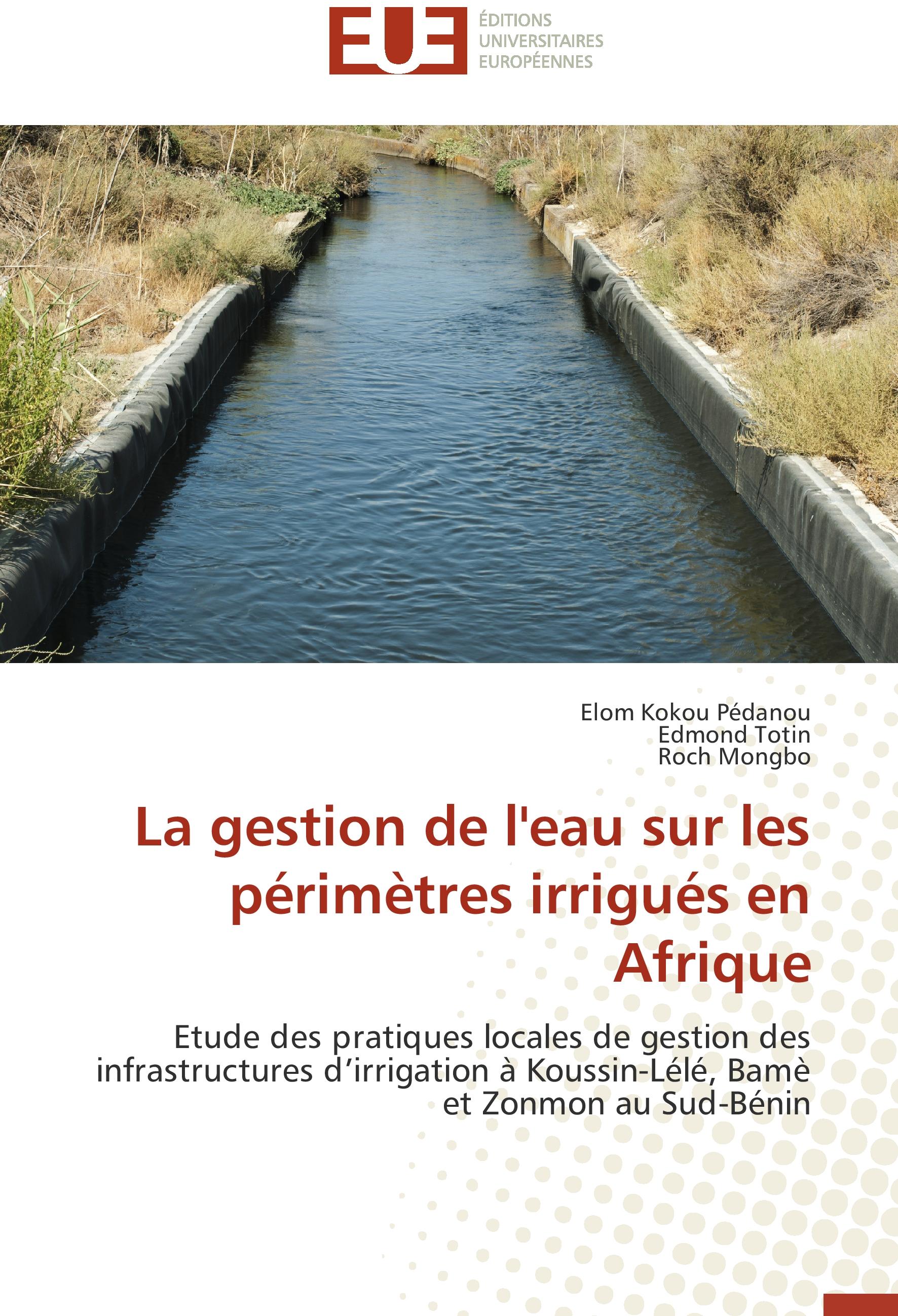 La gestion de l eau sur les périmètres irrigués en Afrique - Elom Kokou Pedanou|Edmond Totin|Roch Mongbo