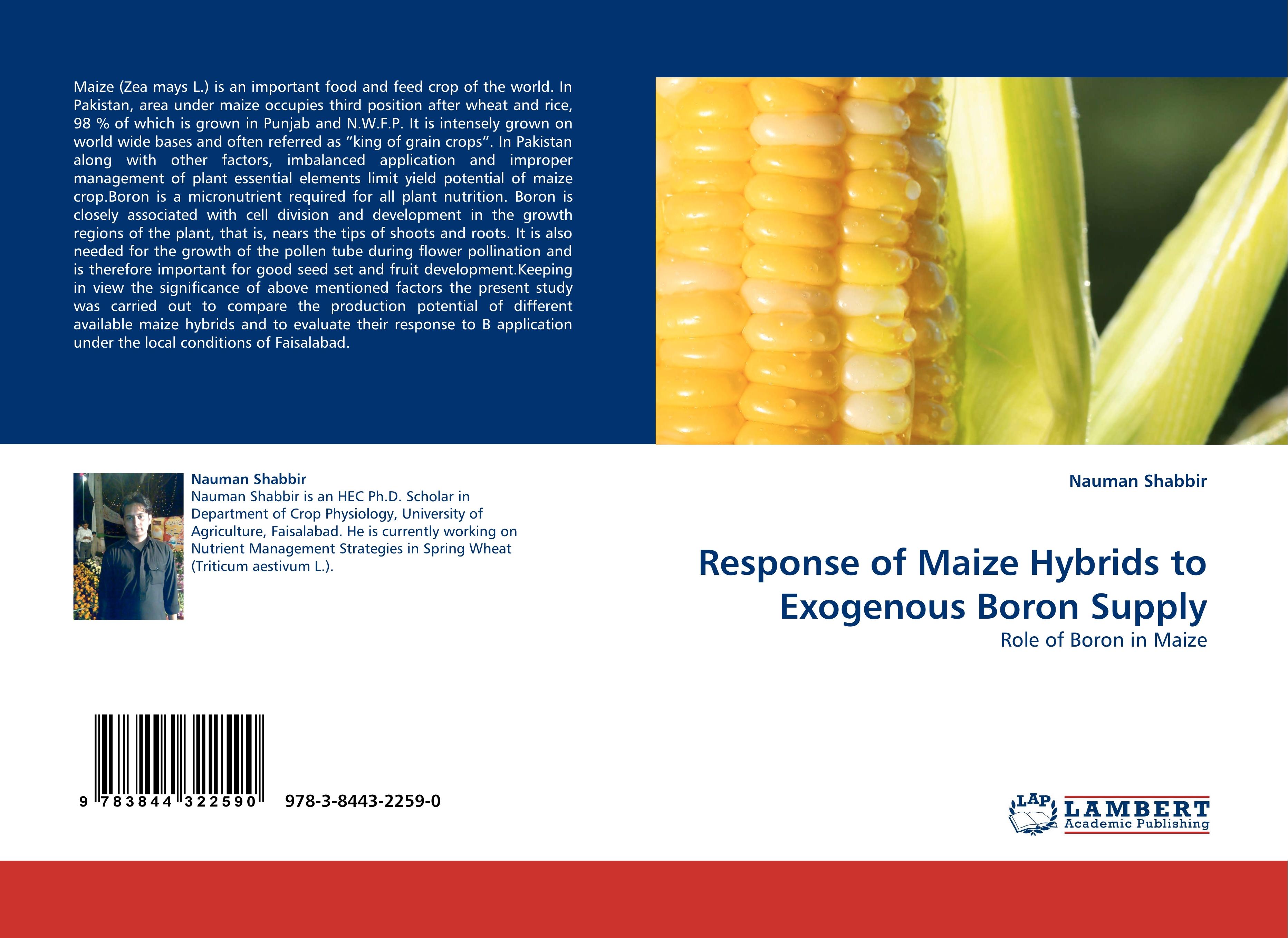 Response of Maize Hybrids to Exogenous Boron Supply - Shabbir, Nauman