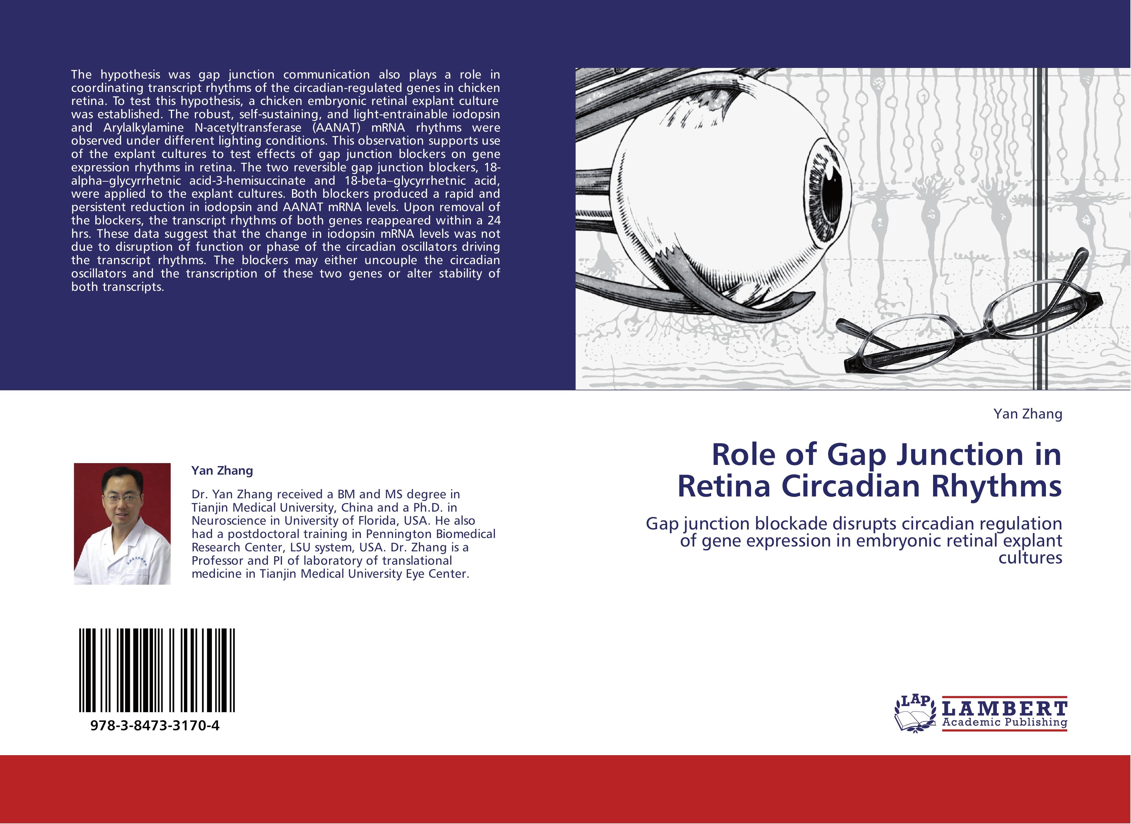 Role of Gap Junction in Retina Circadian Rhythms - Yan Zhang