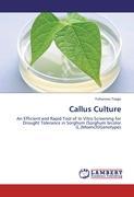 Callus Culture - Tsago, Yohannes