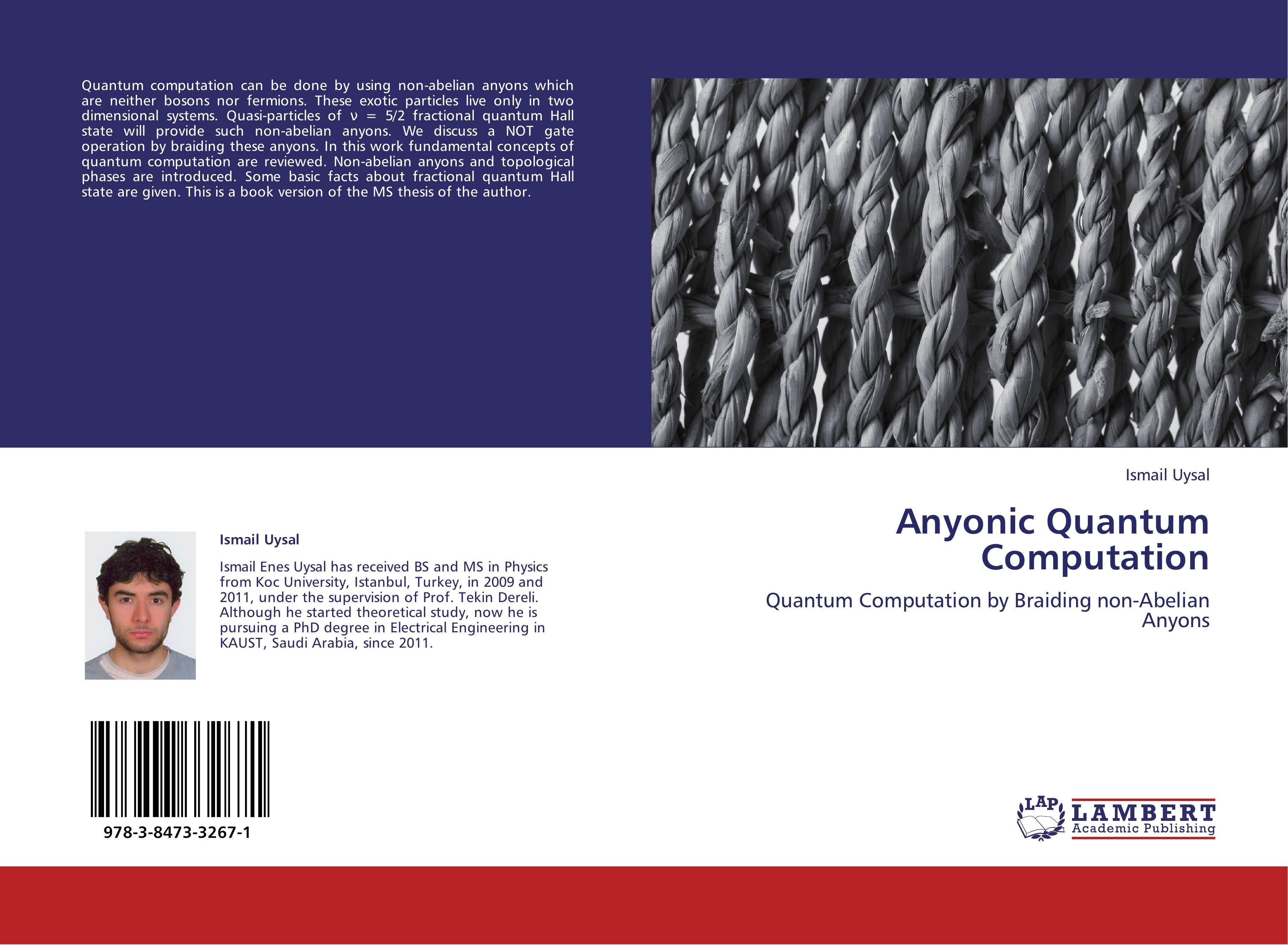 Anyonic Quantum Computation - Uysal, Ismail