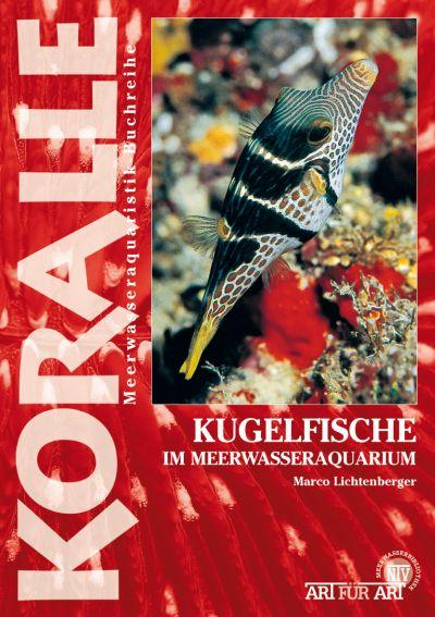 Art für Art 16. Kugelfische - Lichtenberger, Marco