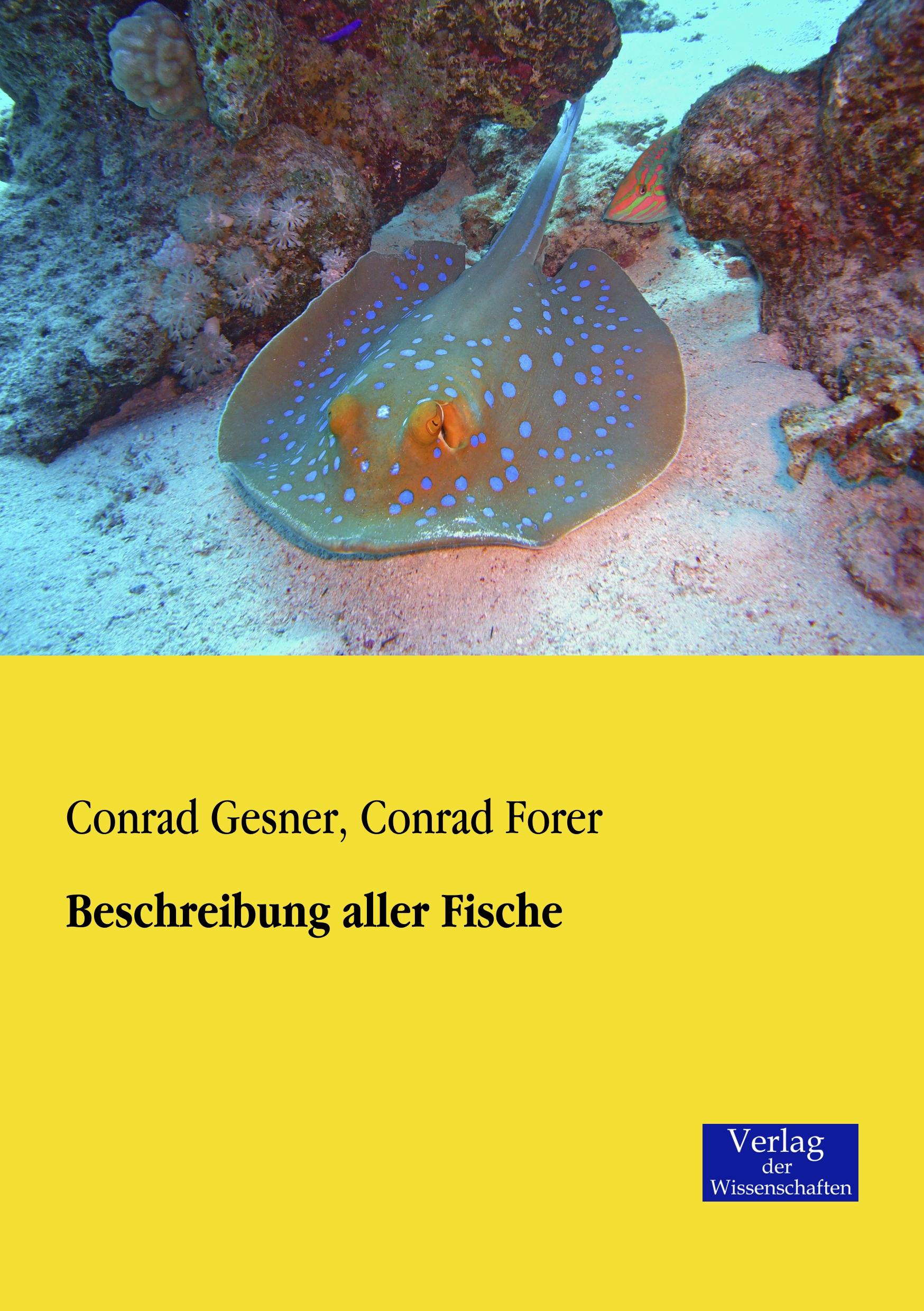 Beschreibung aller Fische - Gesner, Conrad|Forer, Conrad