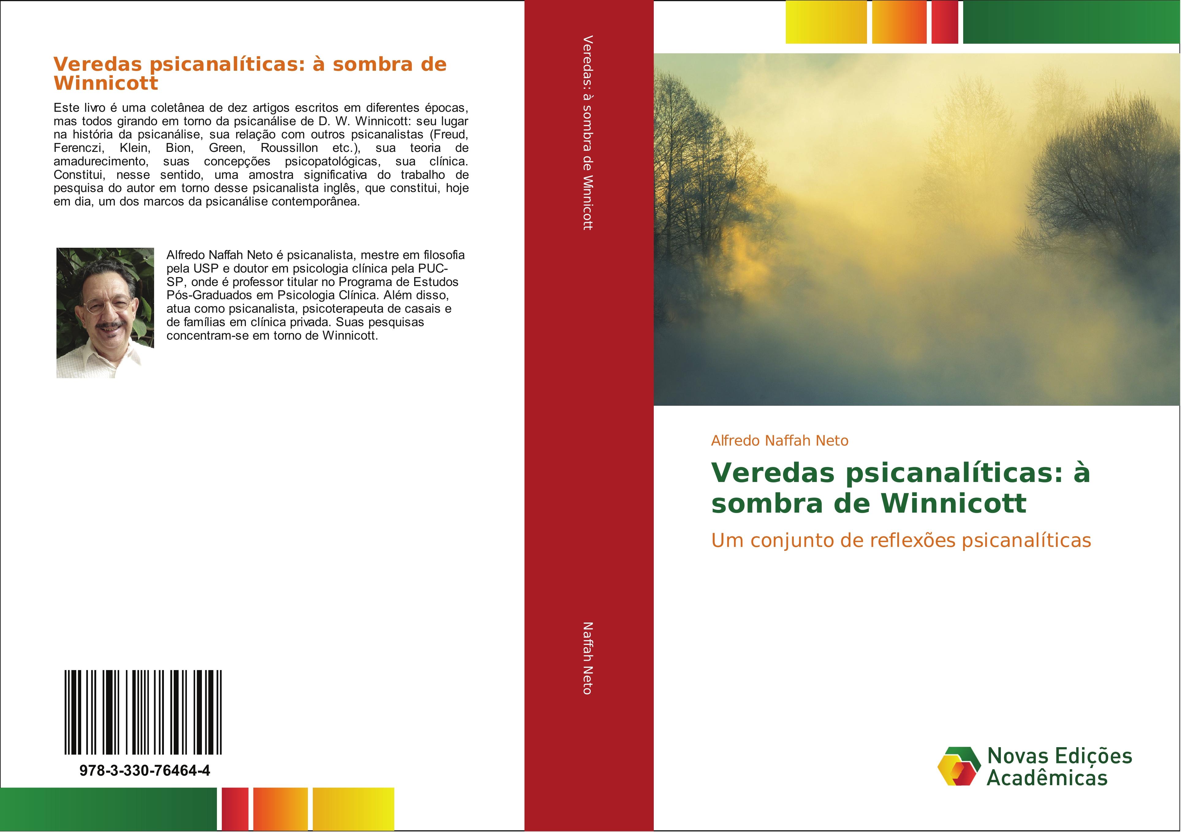 Veredas psicanalÃƒÂ­ticas: ÃƒÂ  sombra de Winnicott - Naffah Neto, Alfredo