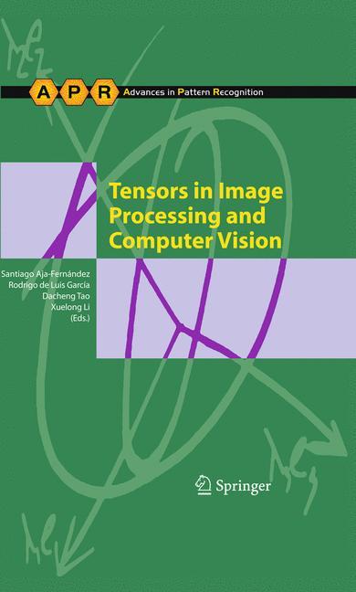 Tensors in Image Processing and Computer Vision - Aja-Fernández, Santiago|Luis Garcia, Rodrigo de|Tao, Dacheng|Li, Xuelong