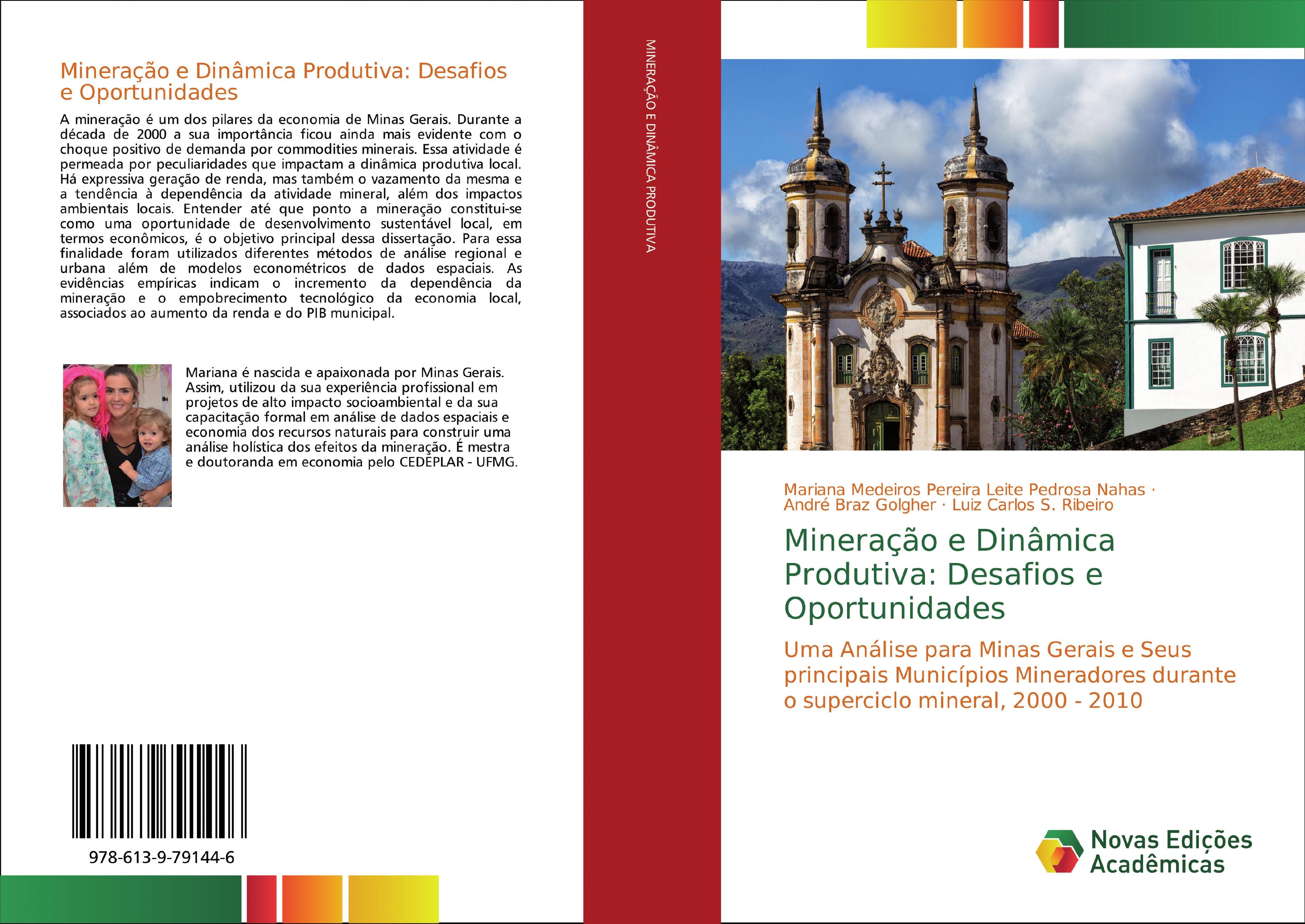 MineraÃƒÂ§ÃƒÂ£o e DinÃƒÂ¢mica Produtiva: Desafios e Oportunidades - Medeiros Pereira Leite Pedrosa Nahas, Mariana|Braz Golgher, AndrÃƒÂ©|S. Ribeiro, Luiz Carlos