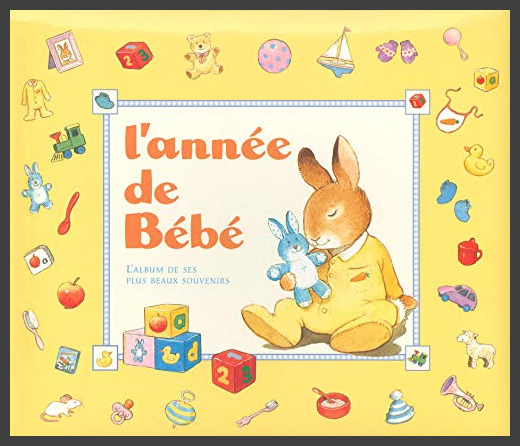 L Annee De Bebe Good No Binding Lalibrairie