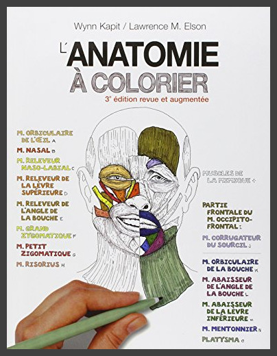 L Anatomie A Colorier Fair No Binding Lalibrairie