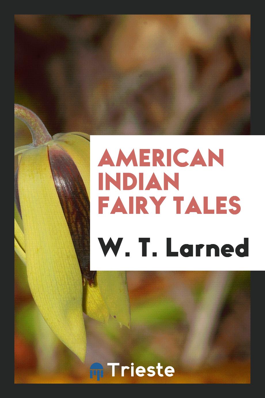 American Indian Fairy Tales - W. T. Larned