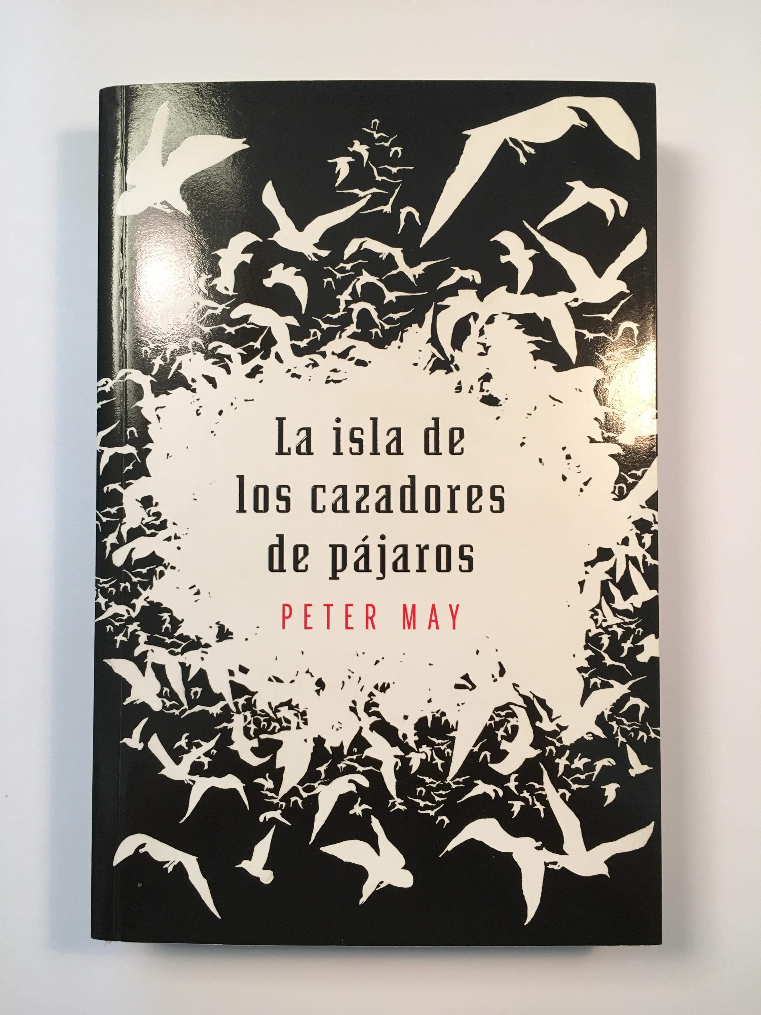 La isla de los cazadores de pájaros - Peter May