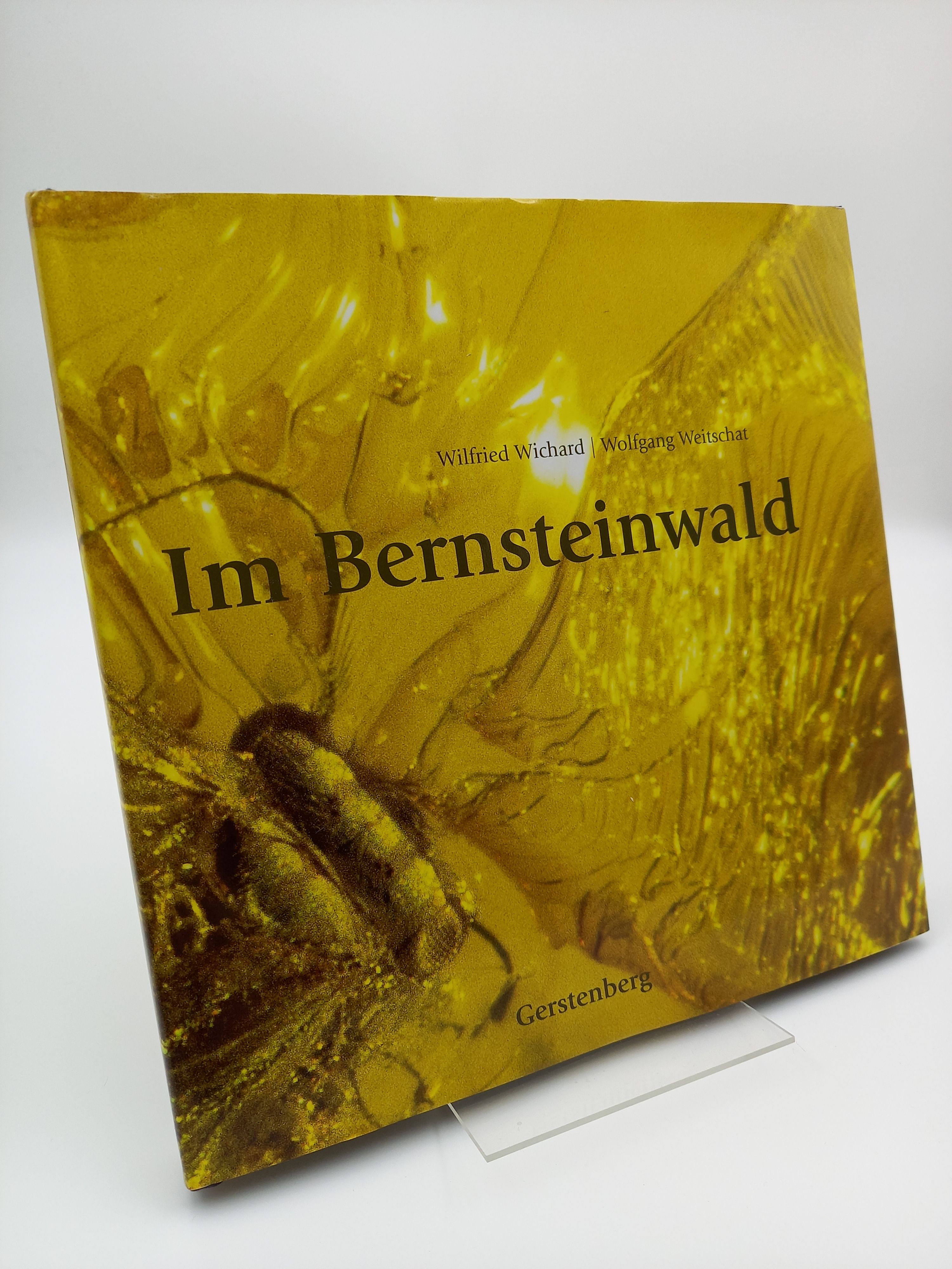 Im Bernsteinwald - Wichard, Wilfried / Weitschat, Wolfgang -