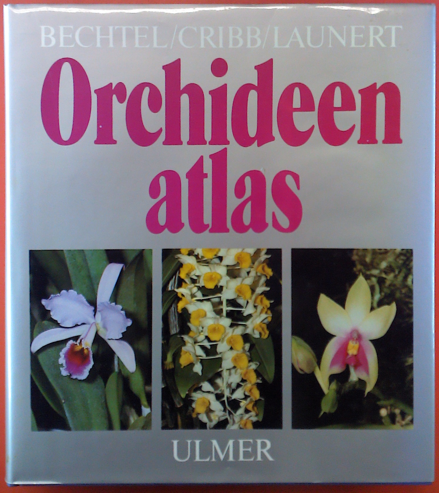 Orchideenatlas, Die Kulturorchideen, Lexikon der wichtigsten Gattungen und Arten - Bechtel/Cribb/Launert