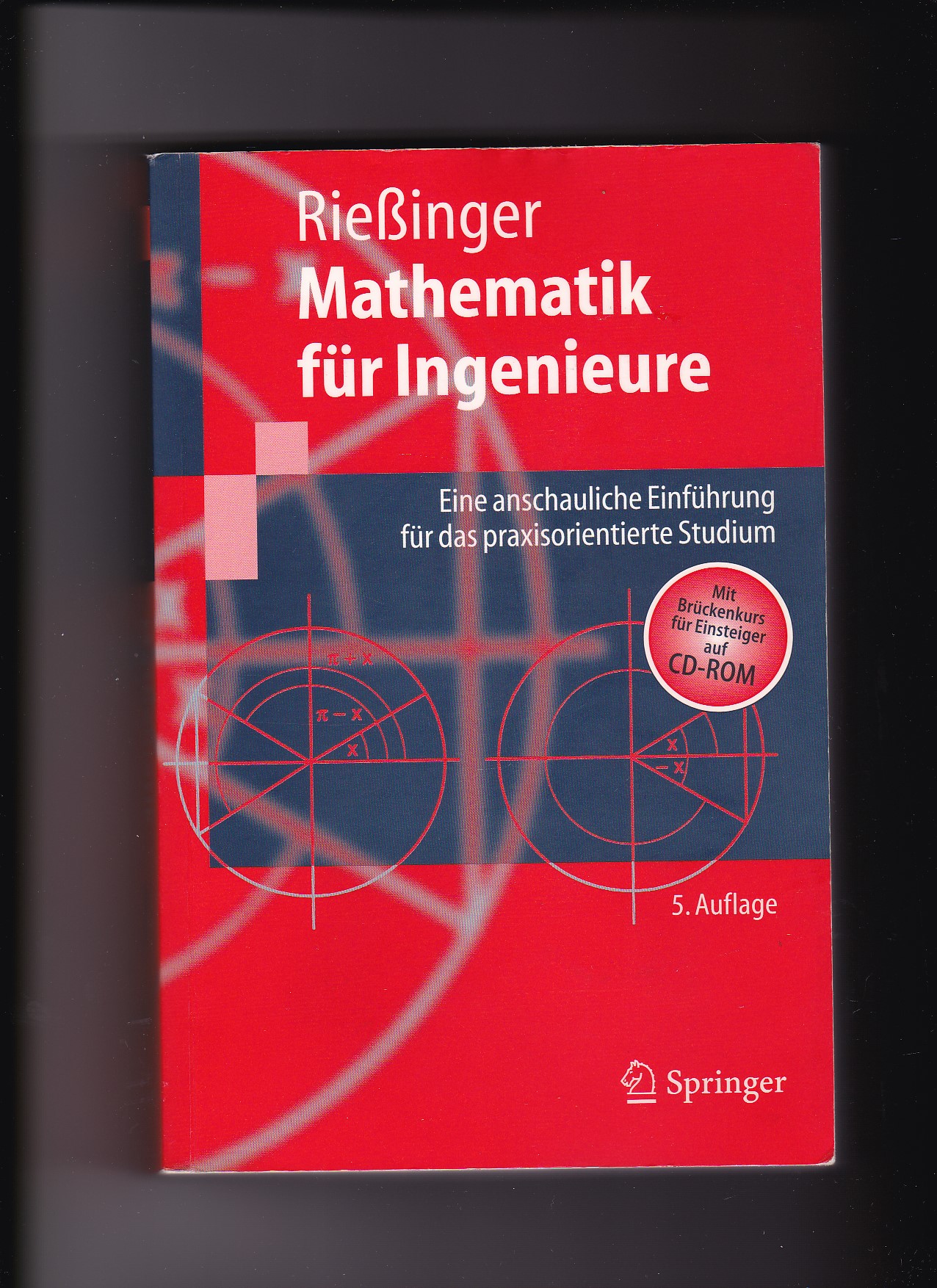 Thomas Rießinger, Mathematik für Ingenieure - Eine anschauliche Einführung - Rießinger, Thomas