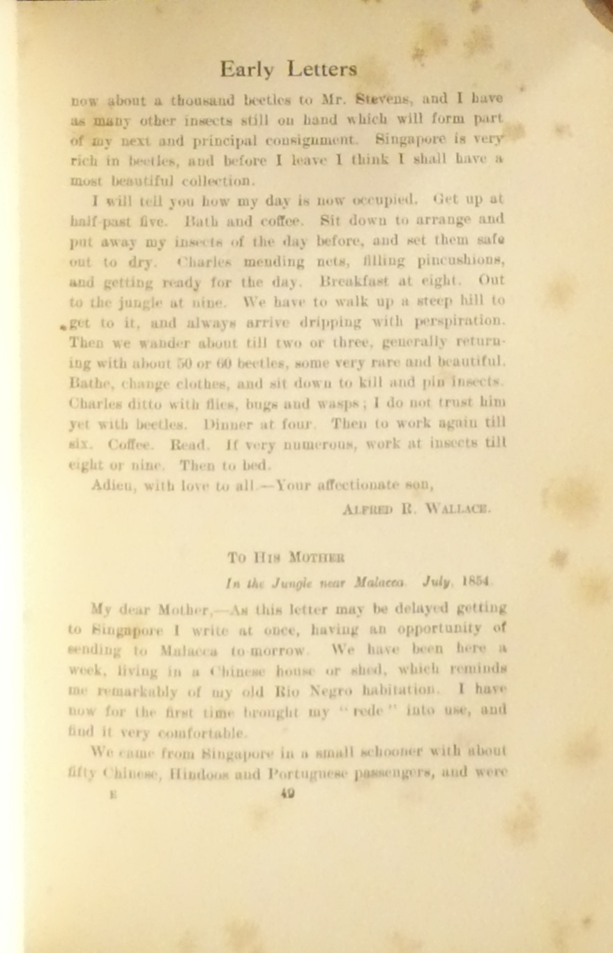 Marchant, James ed. 1916. Alfred Russel Wallace letters and reminiscences.  London: Cassell. Volume 1.