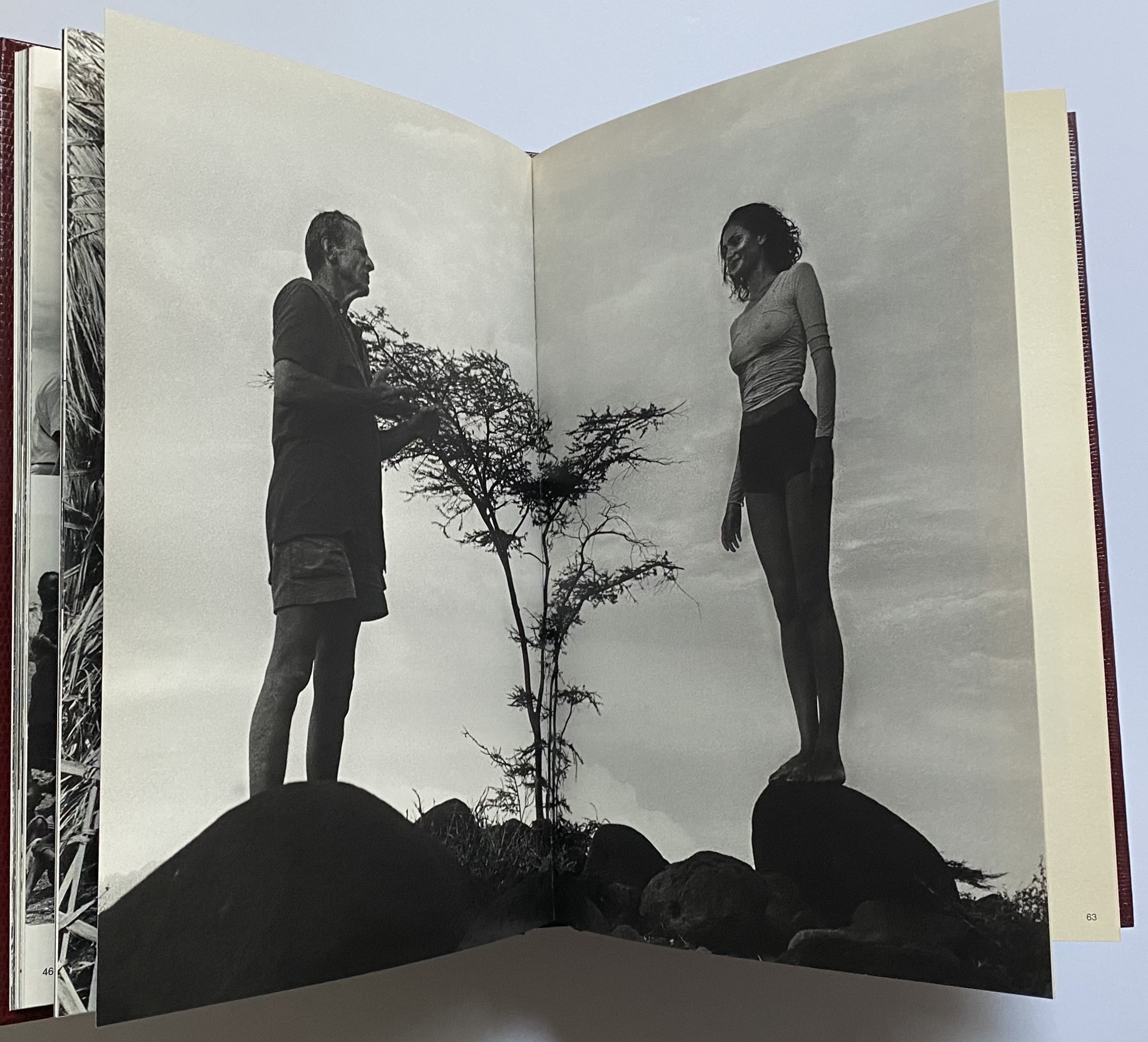 Amazon.co.jp: DVD PETER BEARD 輸入 Scrapbooks From Africa