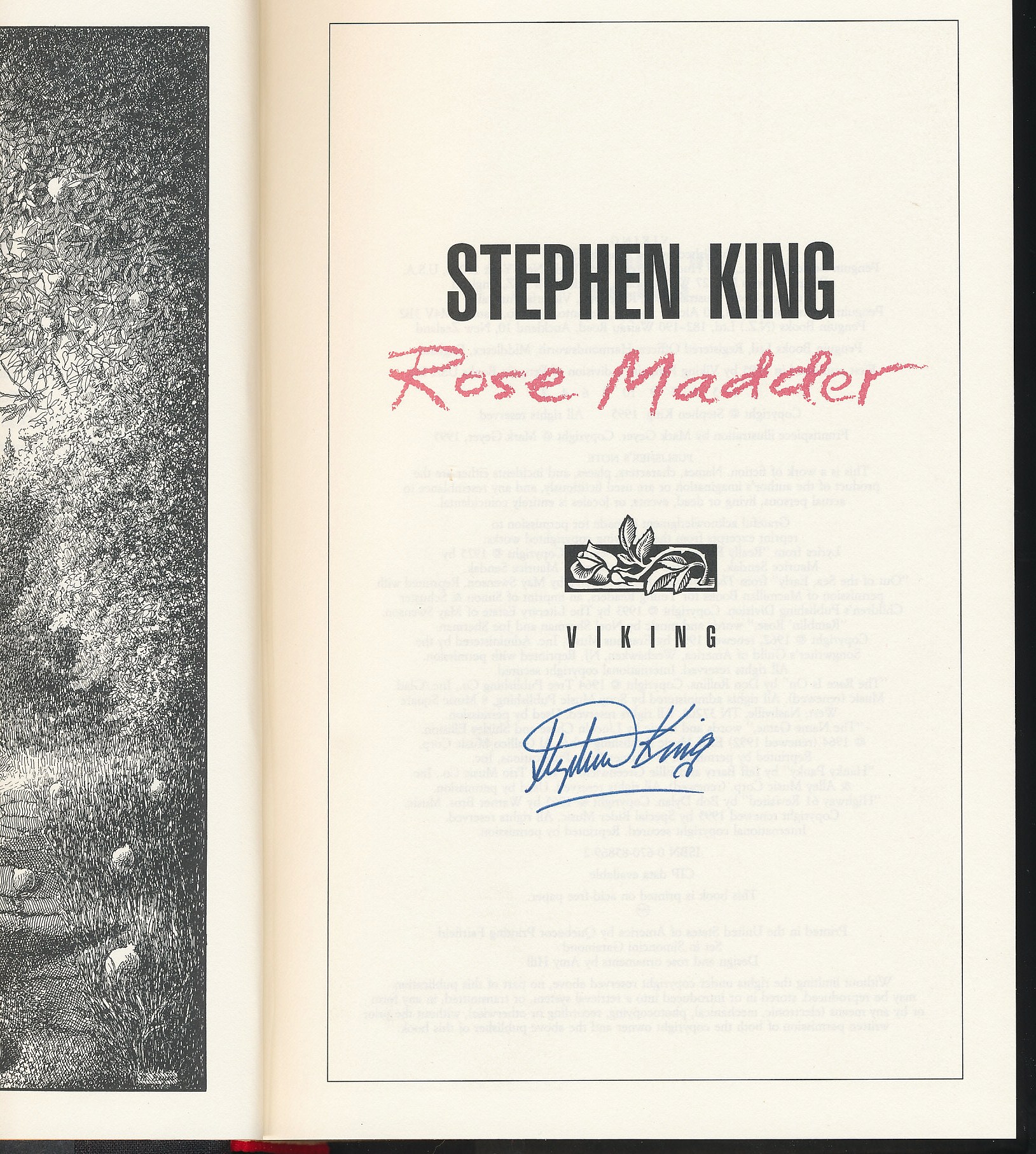 rose madder king stephen rose madder king stephen