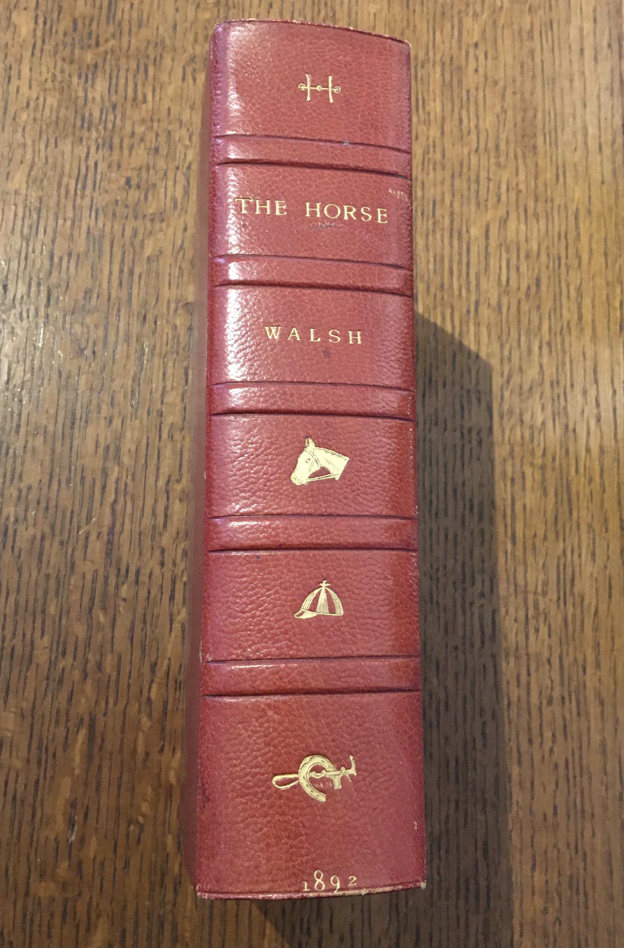 THE HORSE. In the stable and the field: His varieties, management in health and disease, anatomy, physiology, etc. etc. - WALSH. J. H.