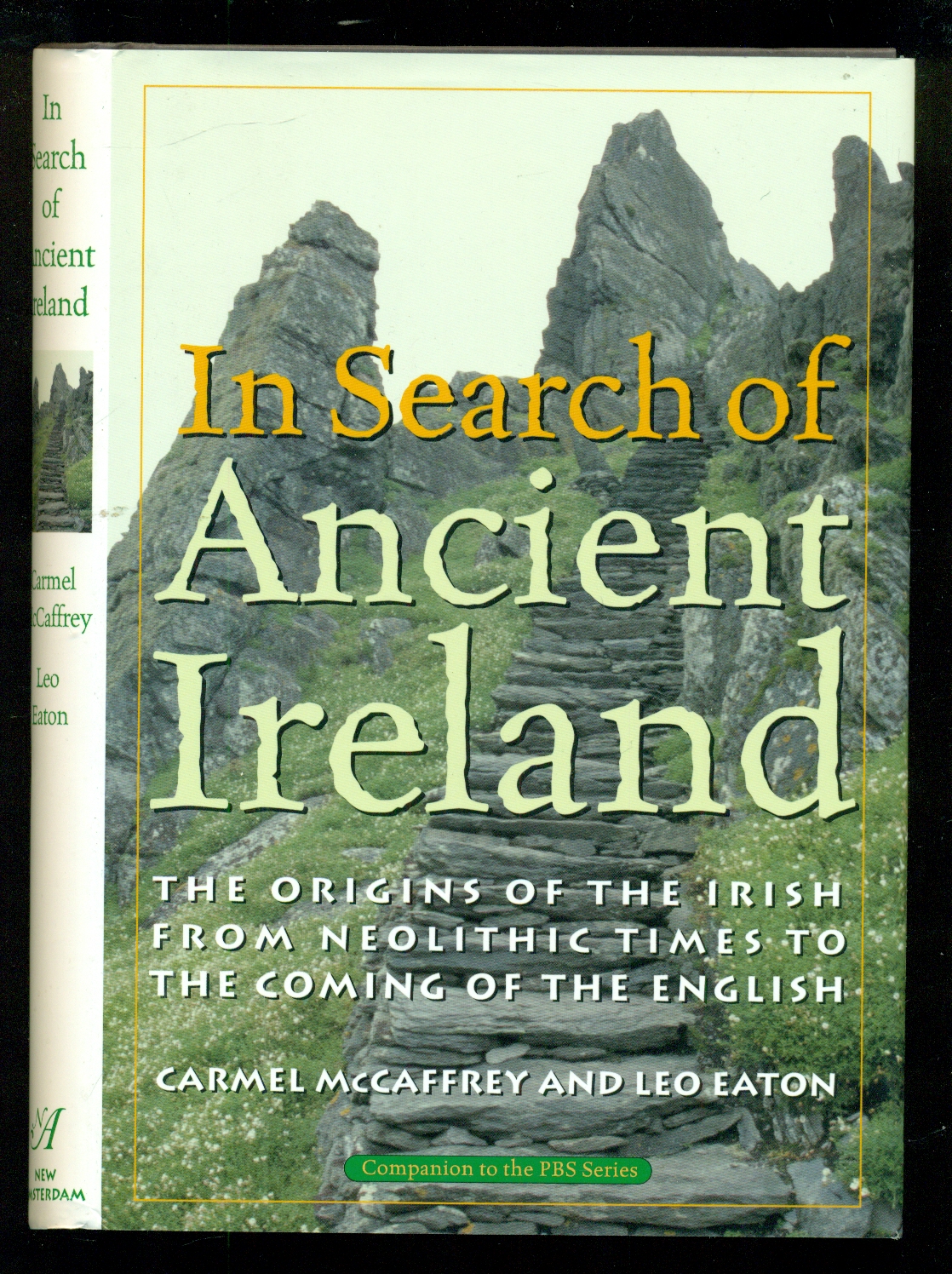In Search of Ancient Ireland: From Neolithic Times to the Coming of the English - McCaffrey, Carmel; Earon, Leo