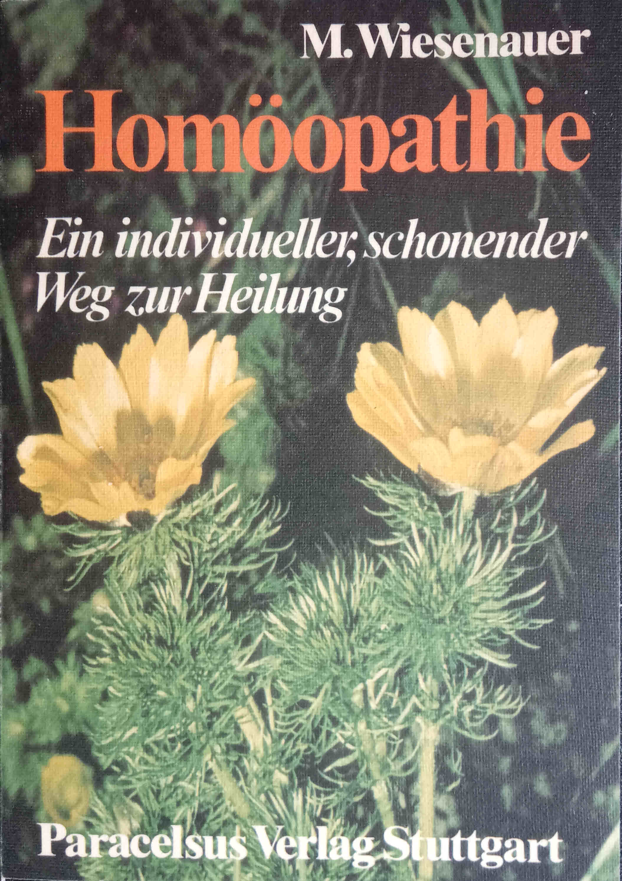 Homöopathie : e. individueller, schonender Weg zur Heilung ; e. allgemeinverständl. u. kurzgefasste Einf. von - Wiesenauer, Markus