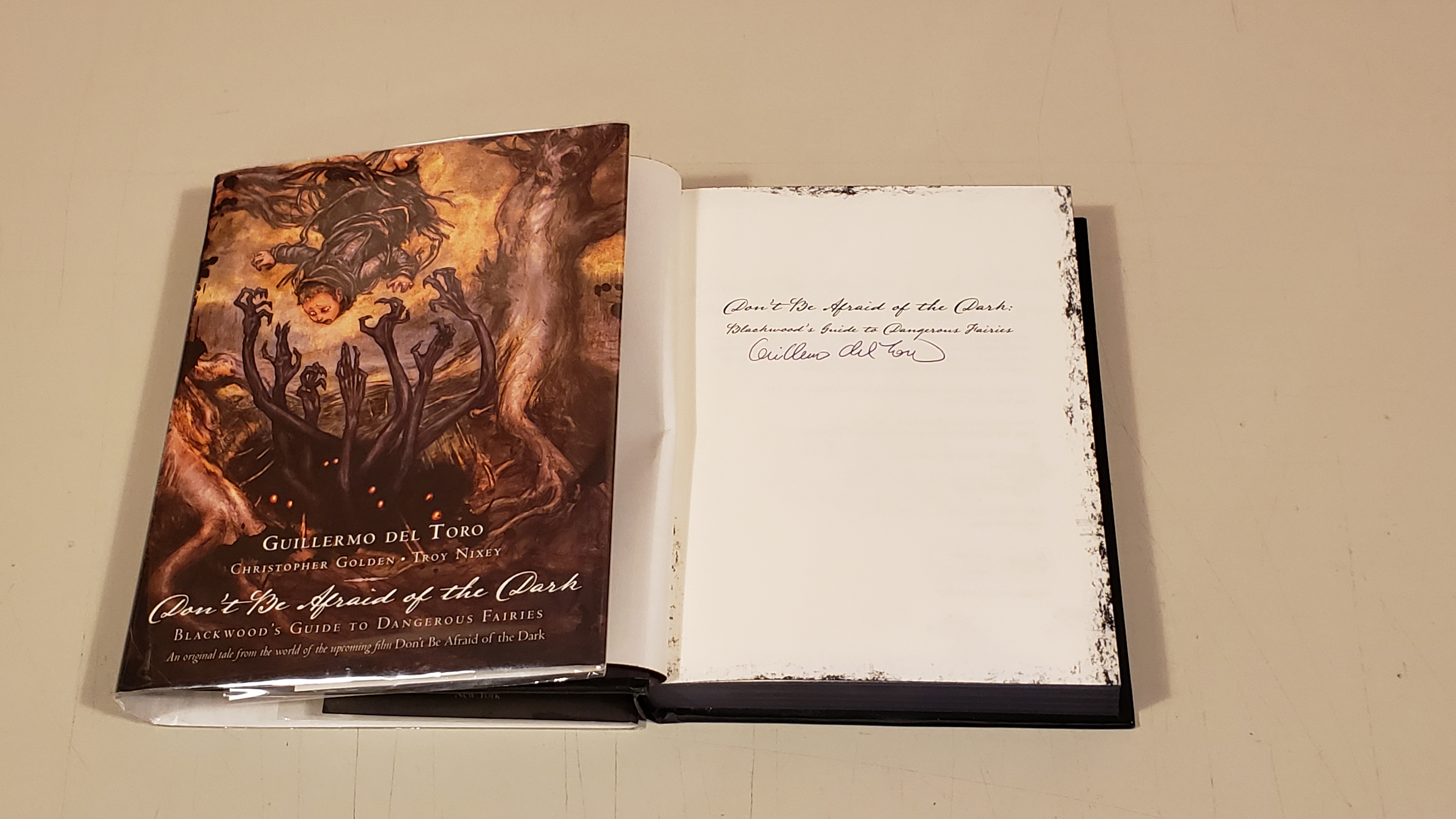 Don't Be Afraid Of The Dark Blackwood's Guide To Dangerous Fairies