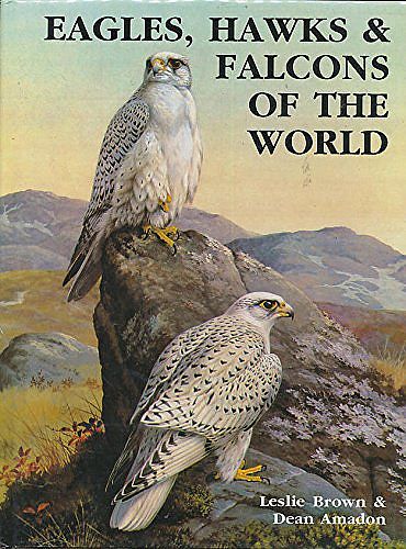 洋書 Eagles Hawks and Falcons of the World Eagles, Hawks and Falcons of the World. by Brown, L. & Amadon, D
