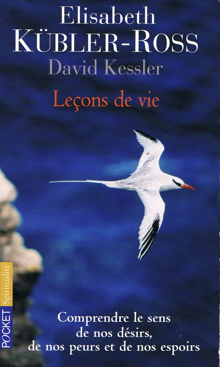 Leçons de vie : Comprendre le sens de nos désirs de nos peurs et de nos ...