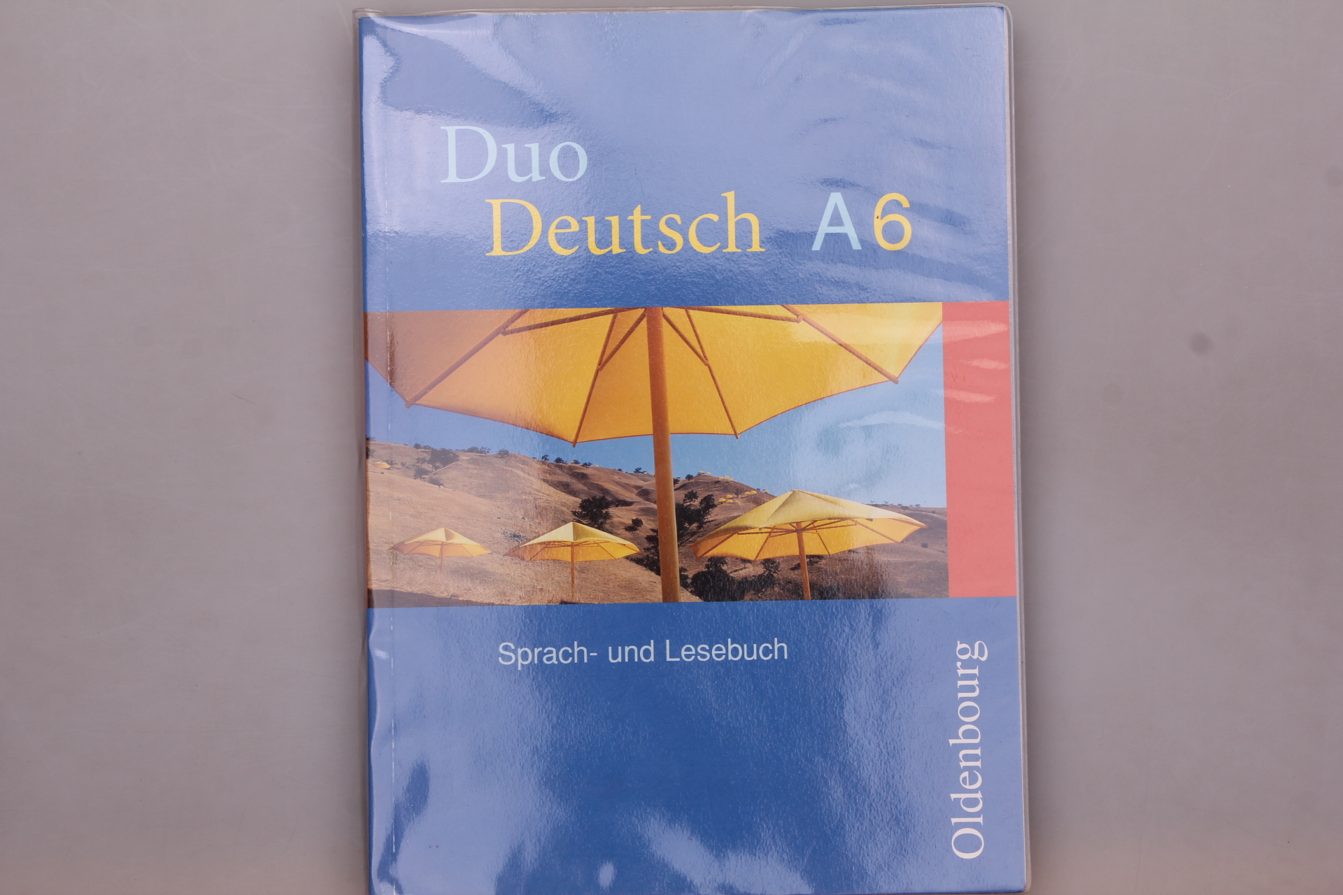 DUO DEUTSCH A6. Sprach- und Lesebuch