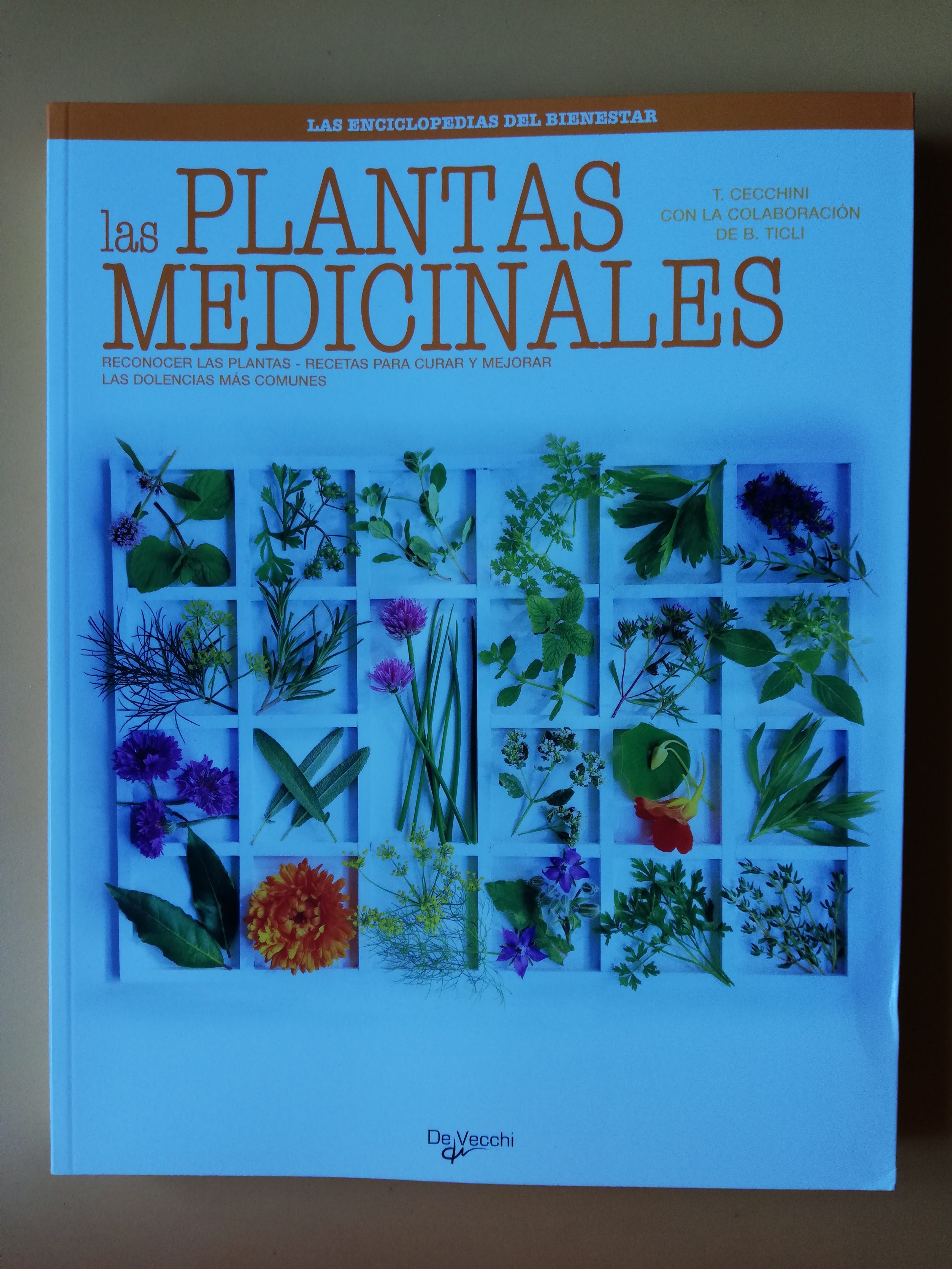 Las plantas medicinales. Reconocer las plantas. Recetas para curar y  mejorar las dolencias más comunes by Tina Cecchini, con la colaboración de  Bernardo Ticli | Llibres Detot