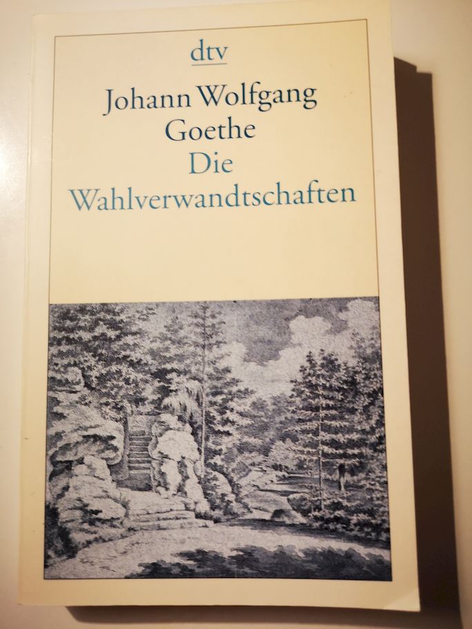 Die Wahlverwandtschaften: Ein Roman - Johann Wolfgang von Goethe