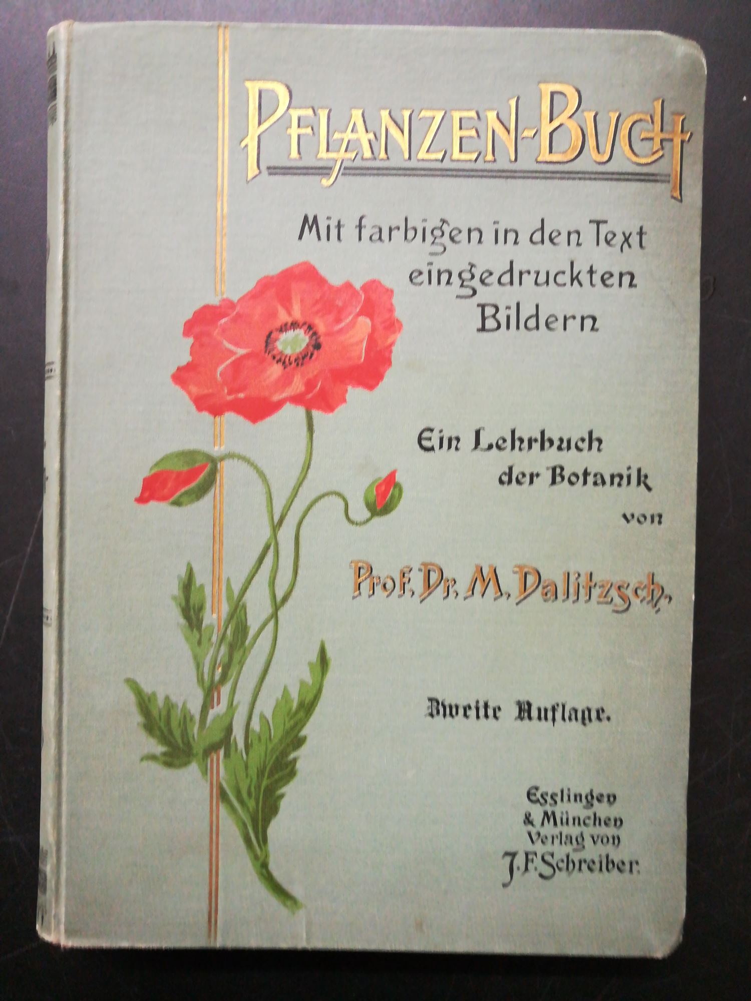 pflanzenbuch ein lehrbuch der von max dalitzsch ZVAB