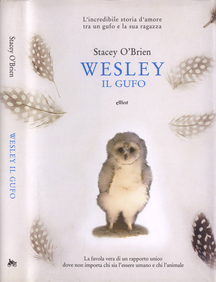 Wesley il gufo L' incredibile storia d' amore tra un gufo e la sua ragazza - Stacey O' Brien