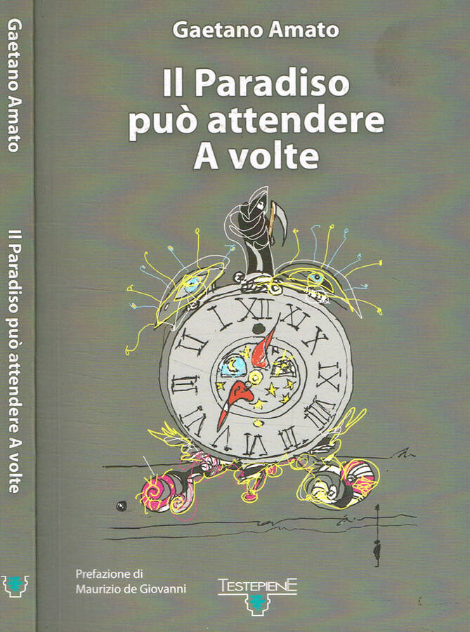 Il Paradiso può attendere a volte - Gaetano Amato