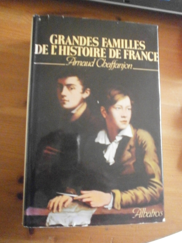 Grandes familles de l'histoire de France de Arnaud Chaffanjon: Assez ...