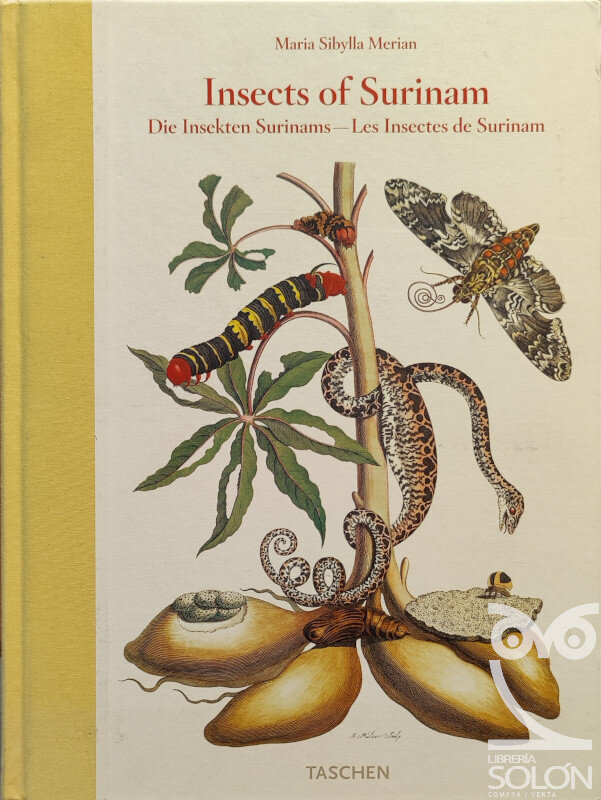 Insects of Surinam. Die Insekten Surinams. Les insectes de Surinam - Maria Sybilla Merian / Katharina Schmidt-Loske