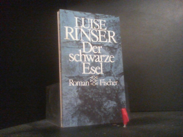 Der schwarze Esel: Roman - Rinser, Luise