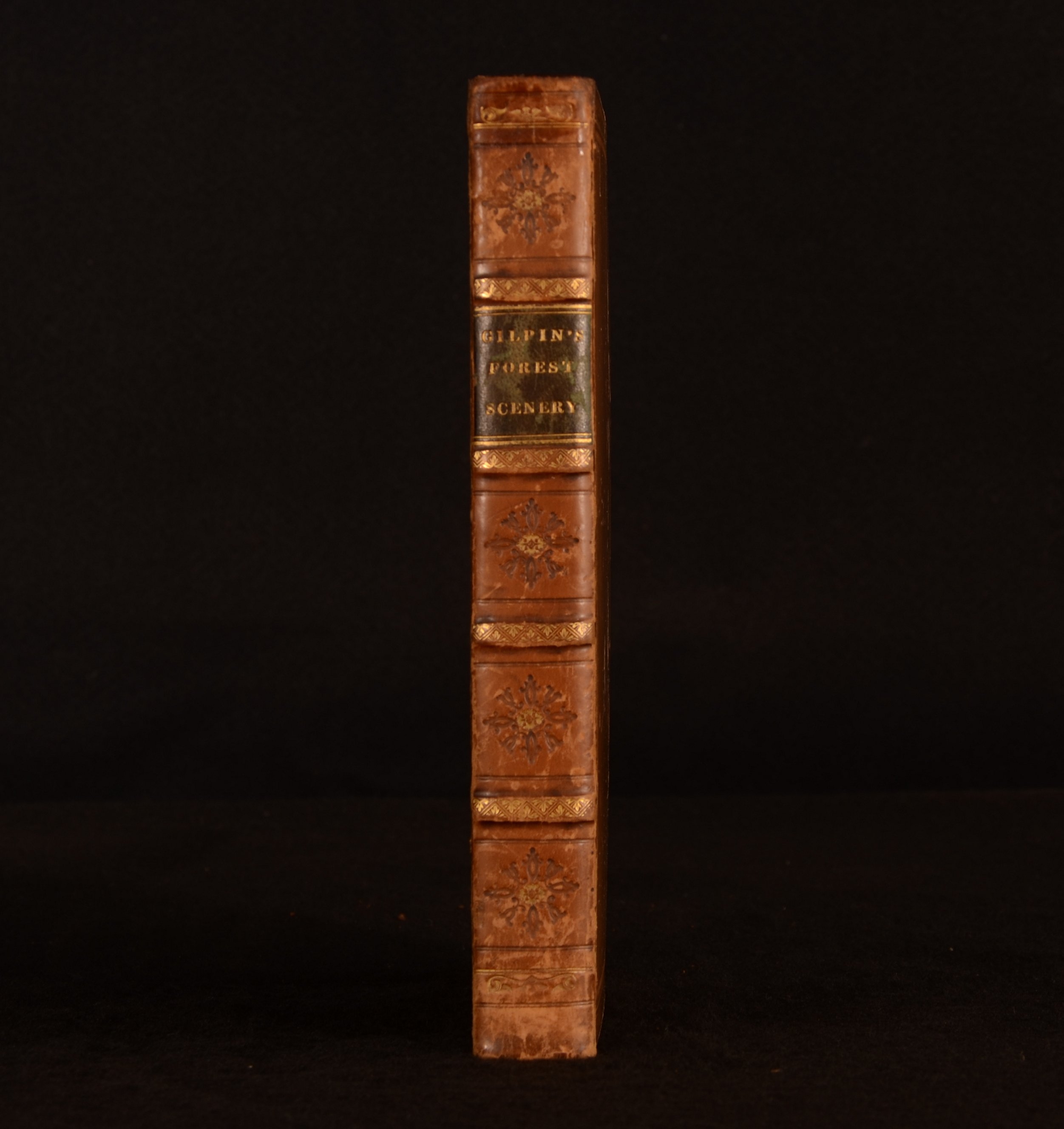 Observations on the Western Parts of England Relative Chiefly to Picturesque Beauty to Which are Added a Few Remarks on the Picturesque Beauties of the Isle of Wight - William Gilpin