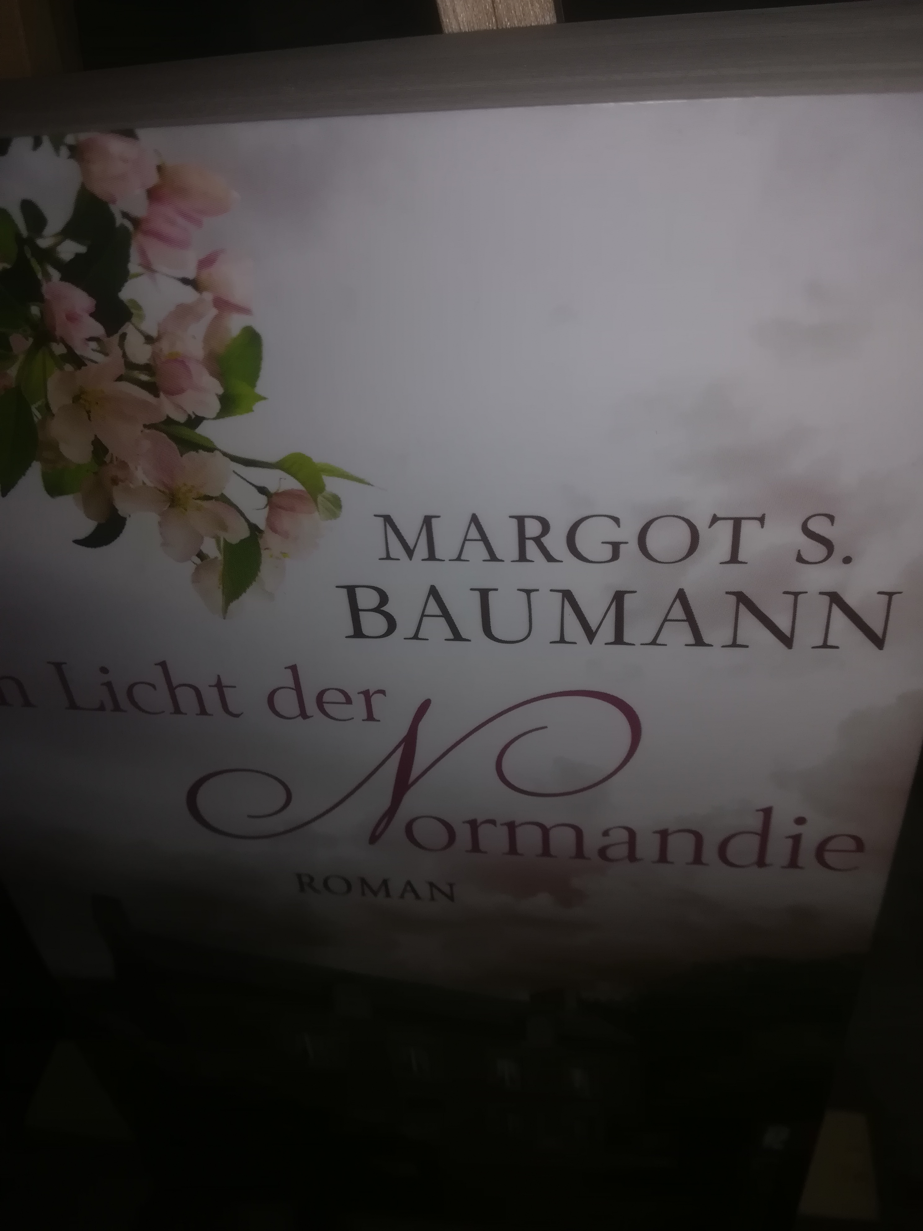 Im Licht der Normandie - Baumann Margot S.