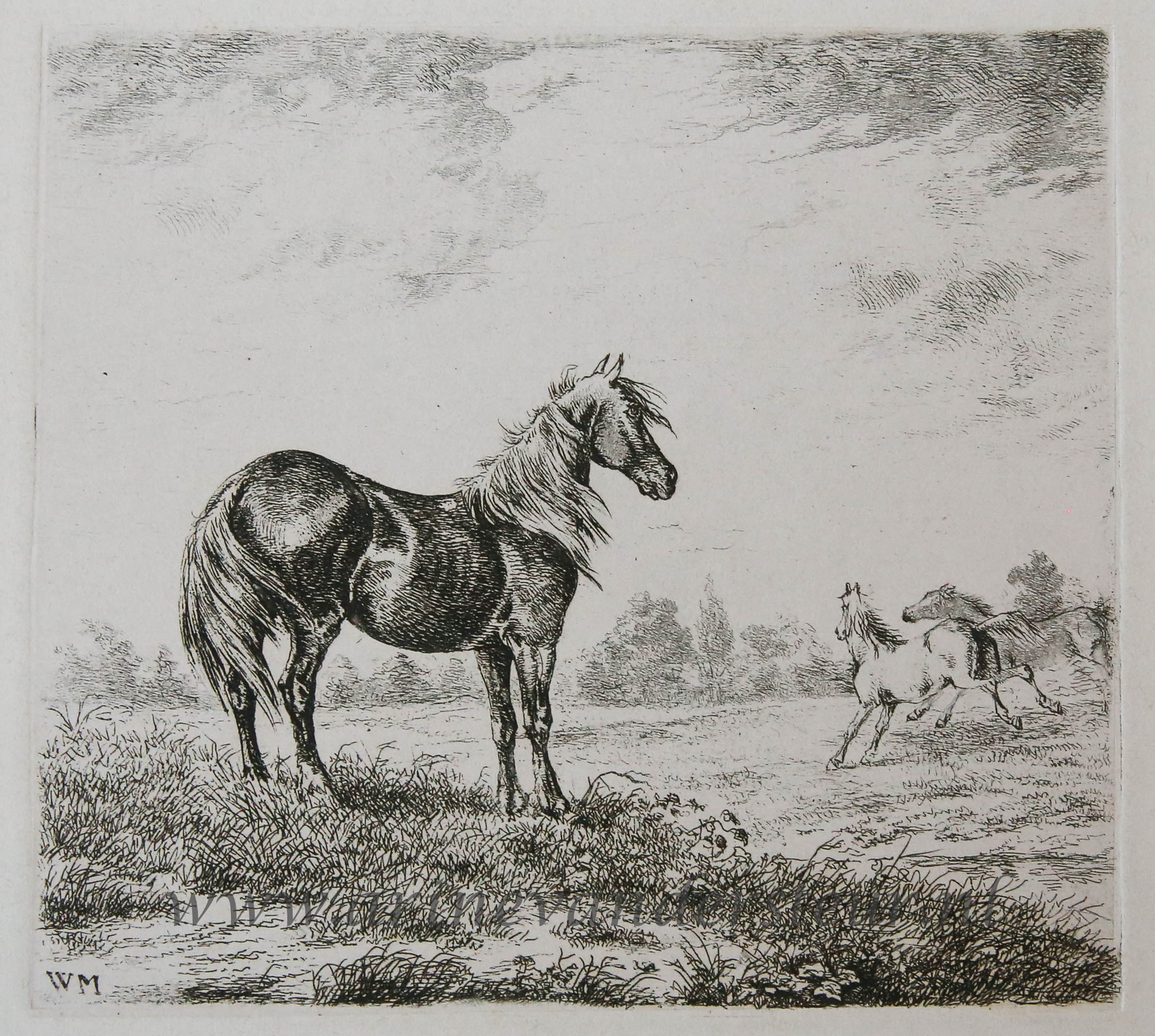 [Antique print, etching] Landscape with three horses. by Moorrees ...