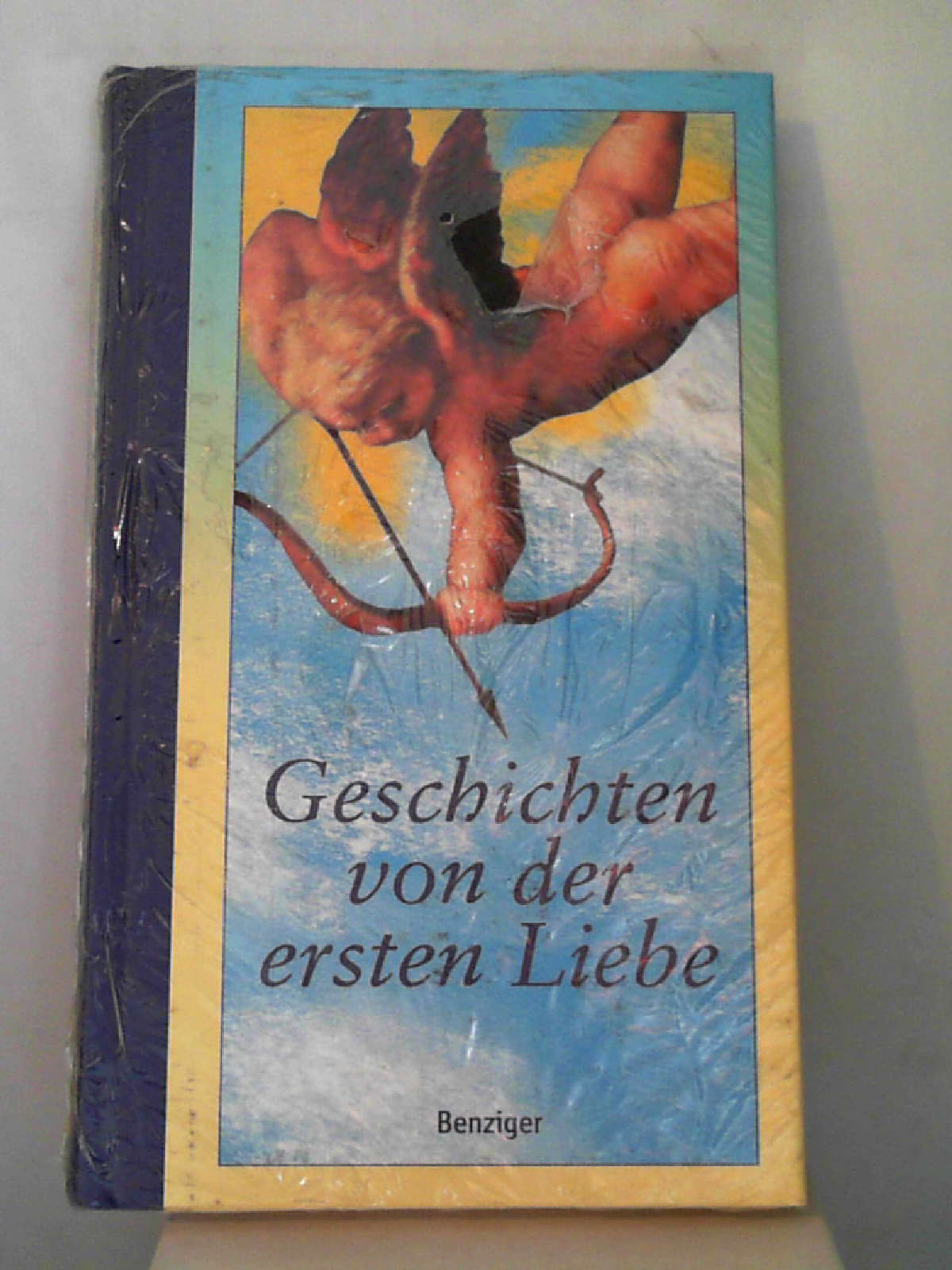 Geschichten von der ersten Liebe - Thomas Nahrmann