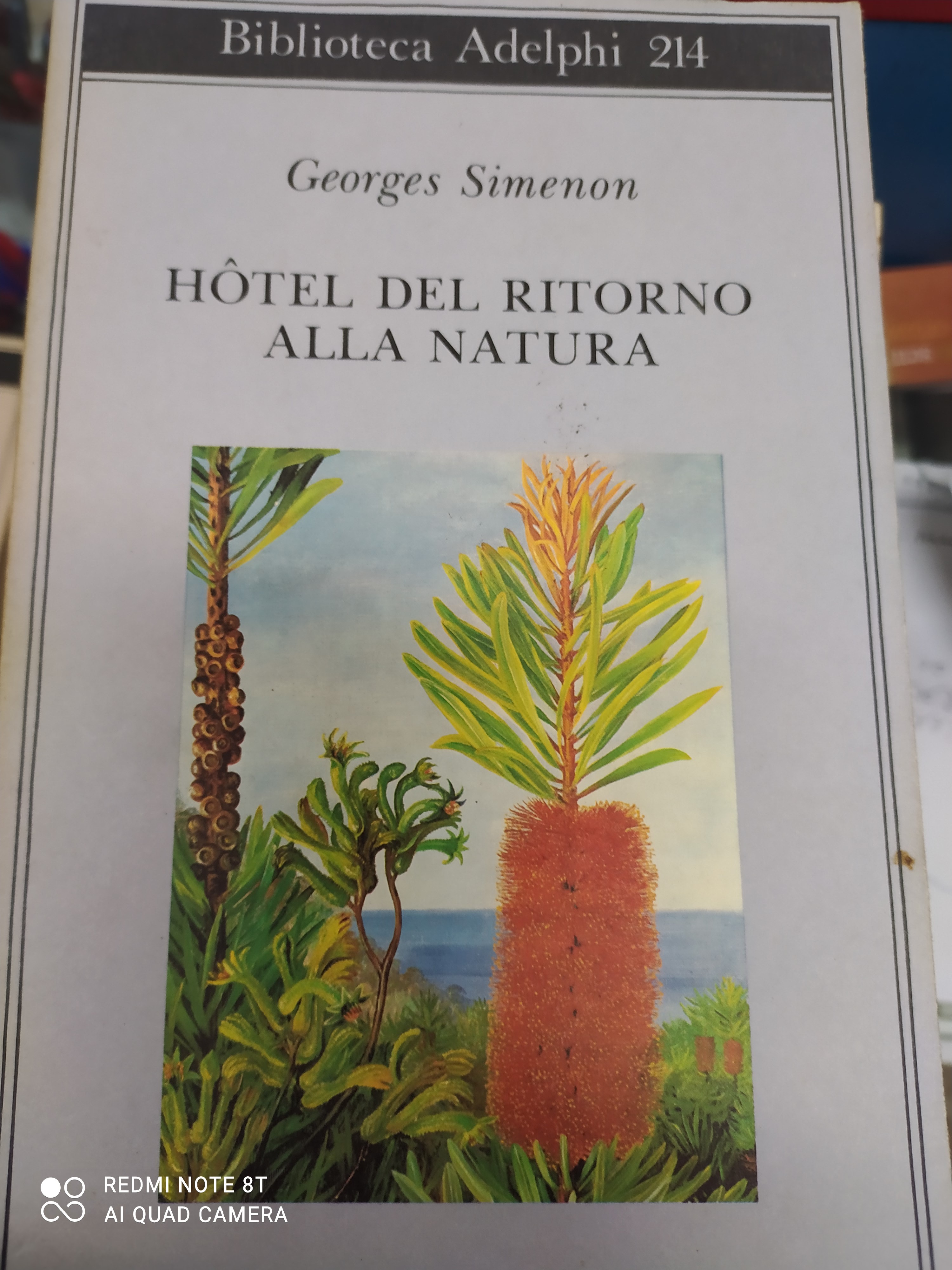 Hotel del ritorno alla natura - Simenon, Georges