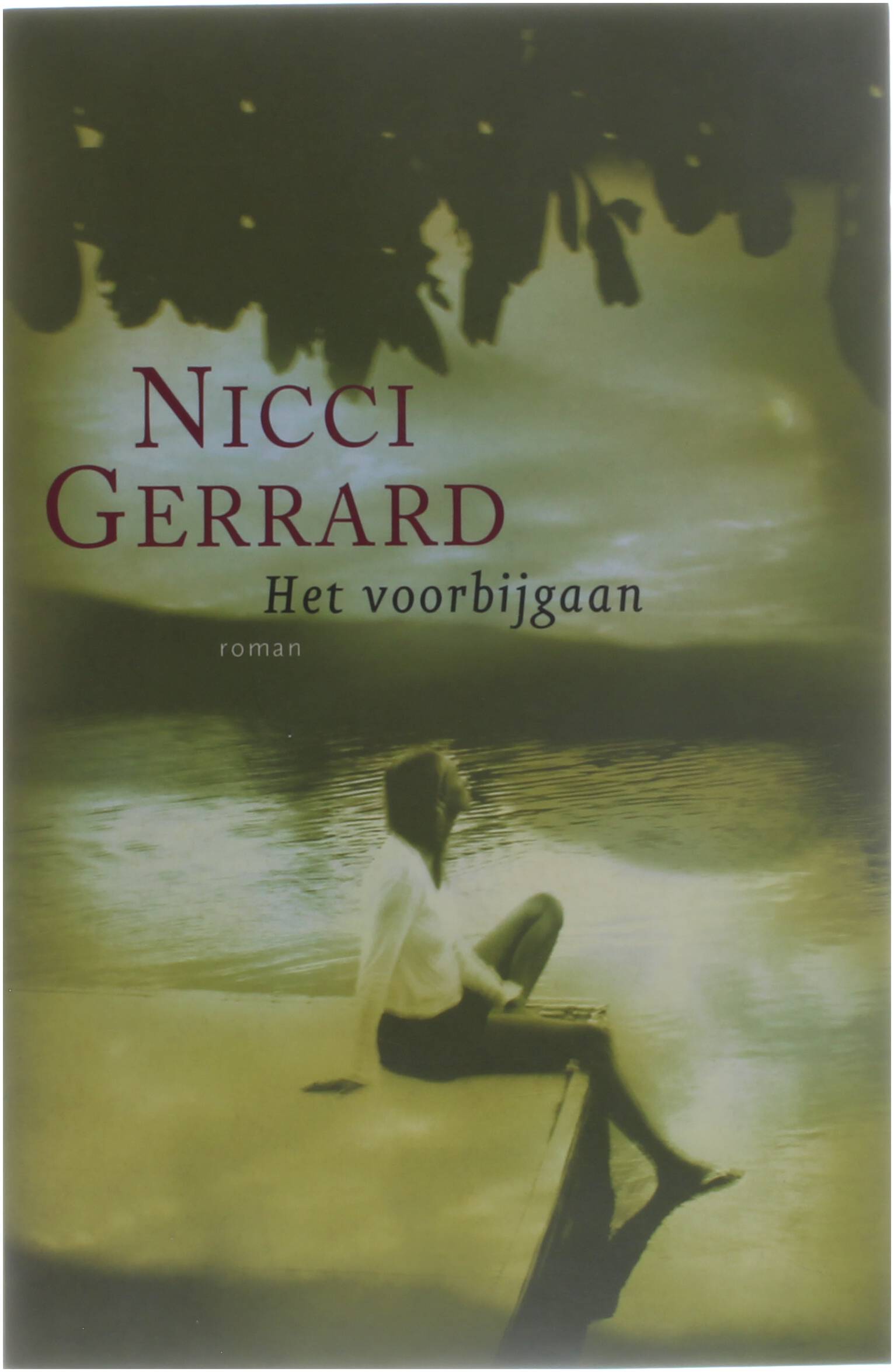 Het voorbijgaan / druk 1